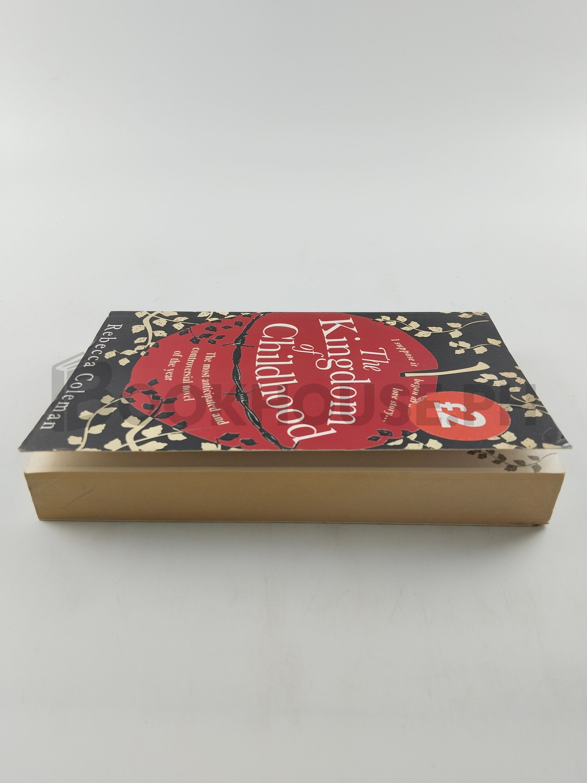 The Kingdom Of Childhood by Rebecca Coleman - Image 4