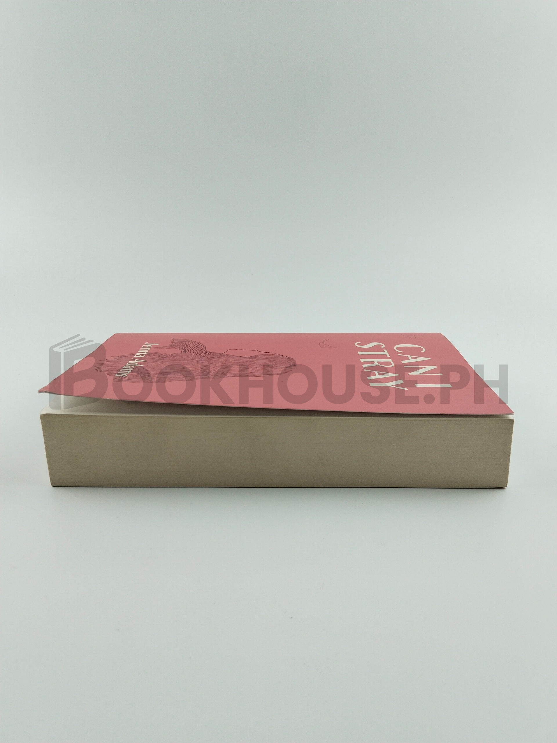 Can I Stray by Jenna Adams - Image 4