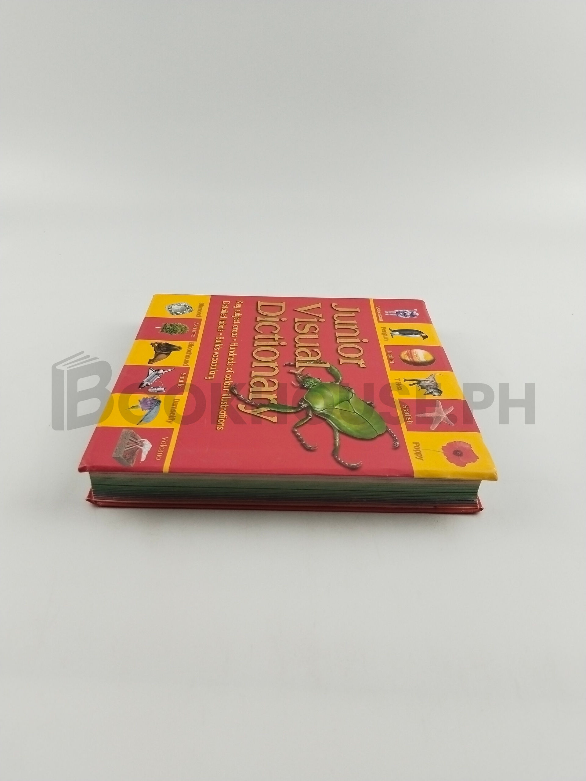 Junior Visual Dictionary by Rosalind Mcguire - Image 4