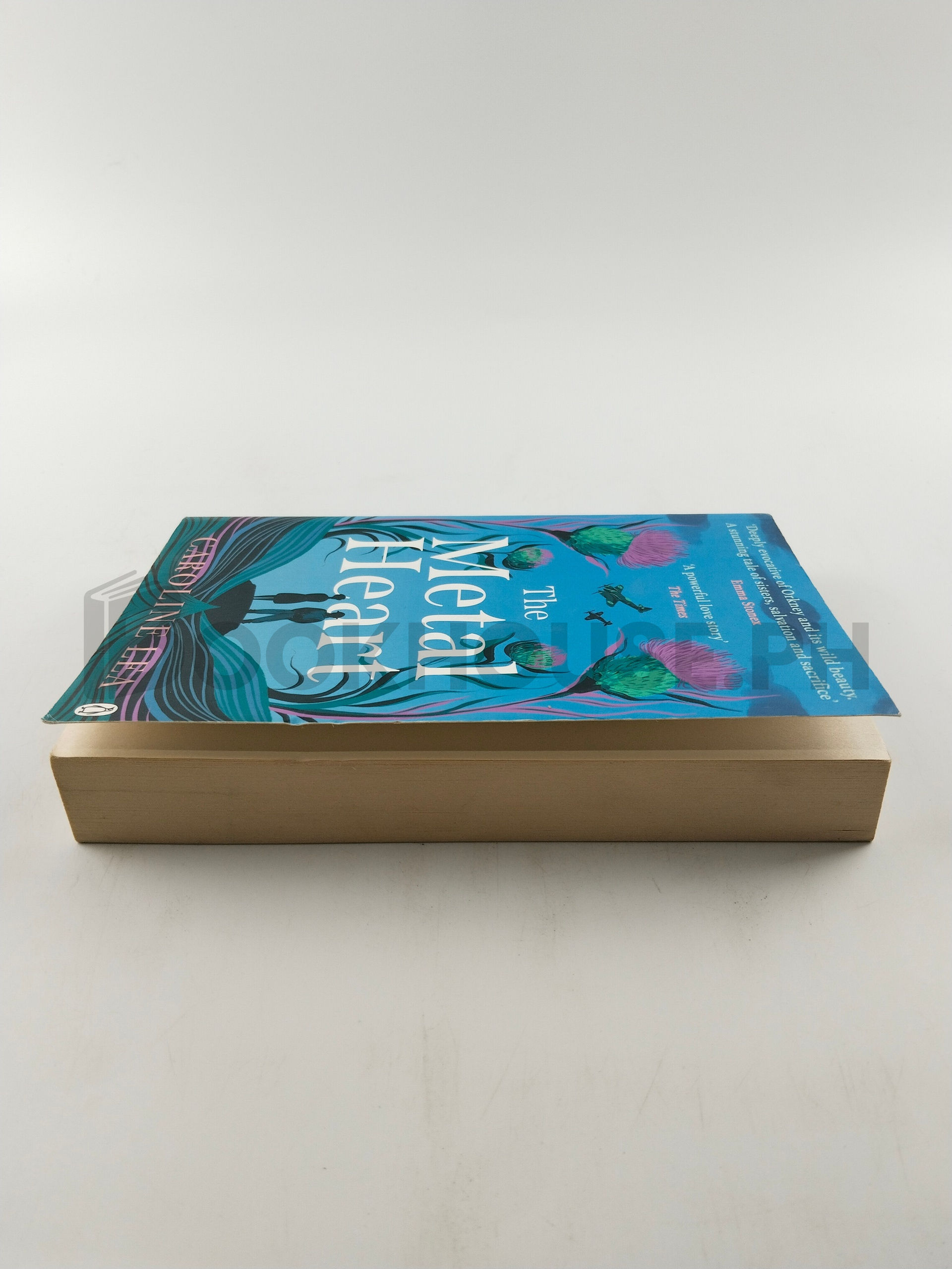 The Metal Heart by Caroline Lea - Image 4