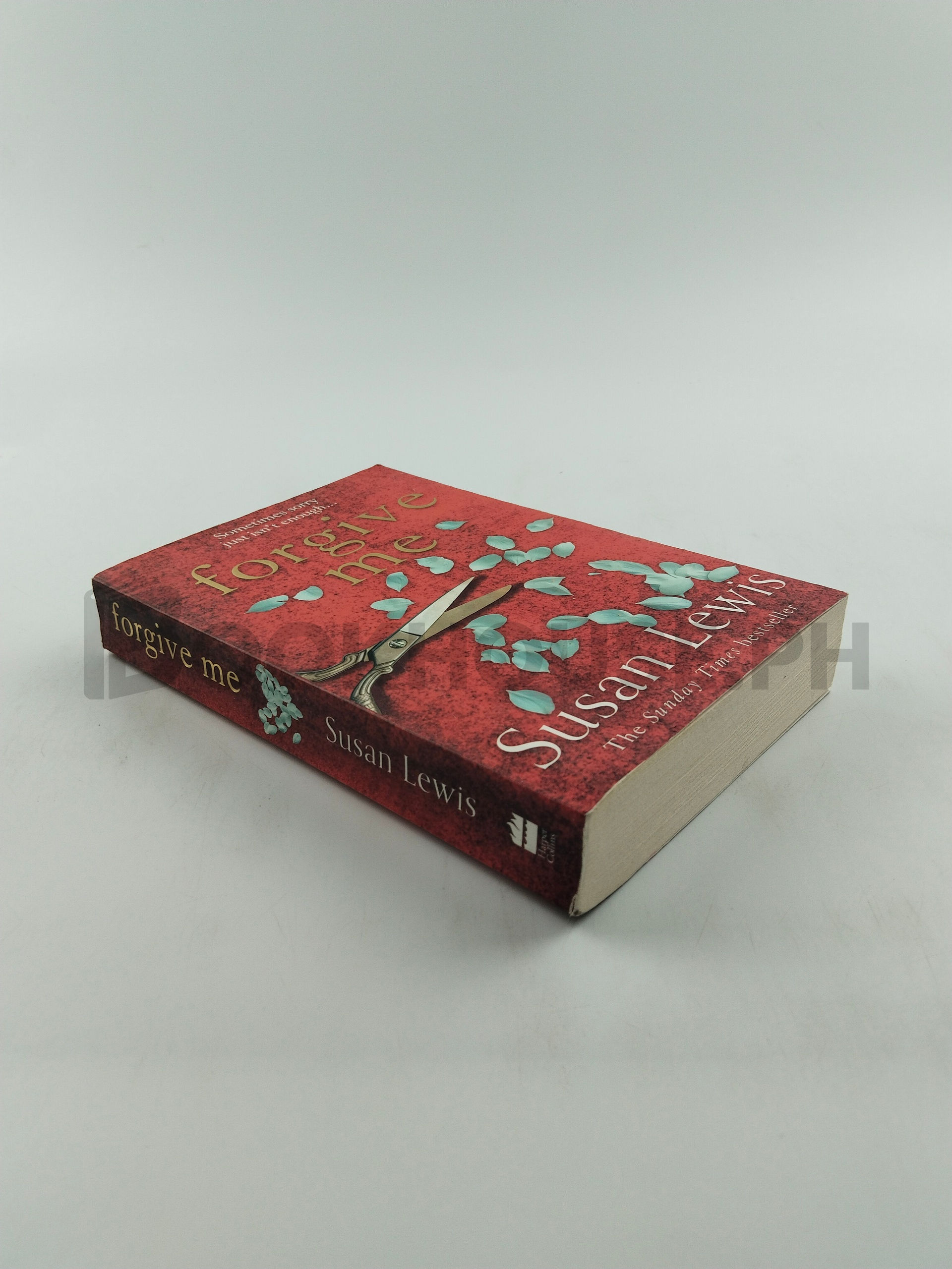 Forgive Me by Susan Lewis - Image 2