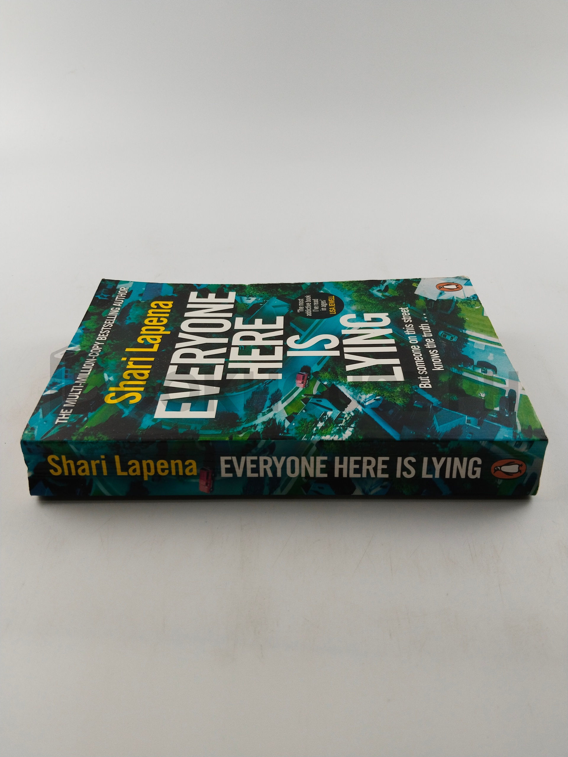 Everyone Here Is Lying by Shari Lapena - Image 3