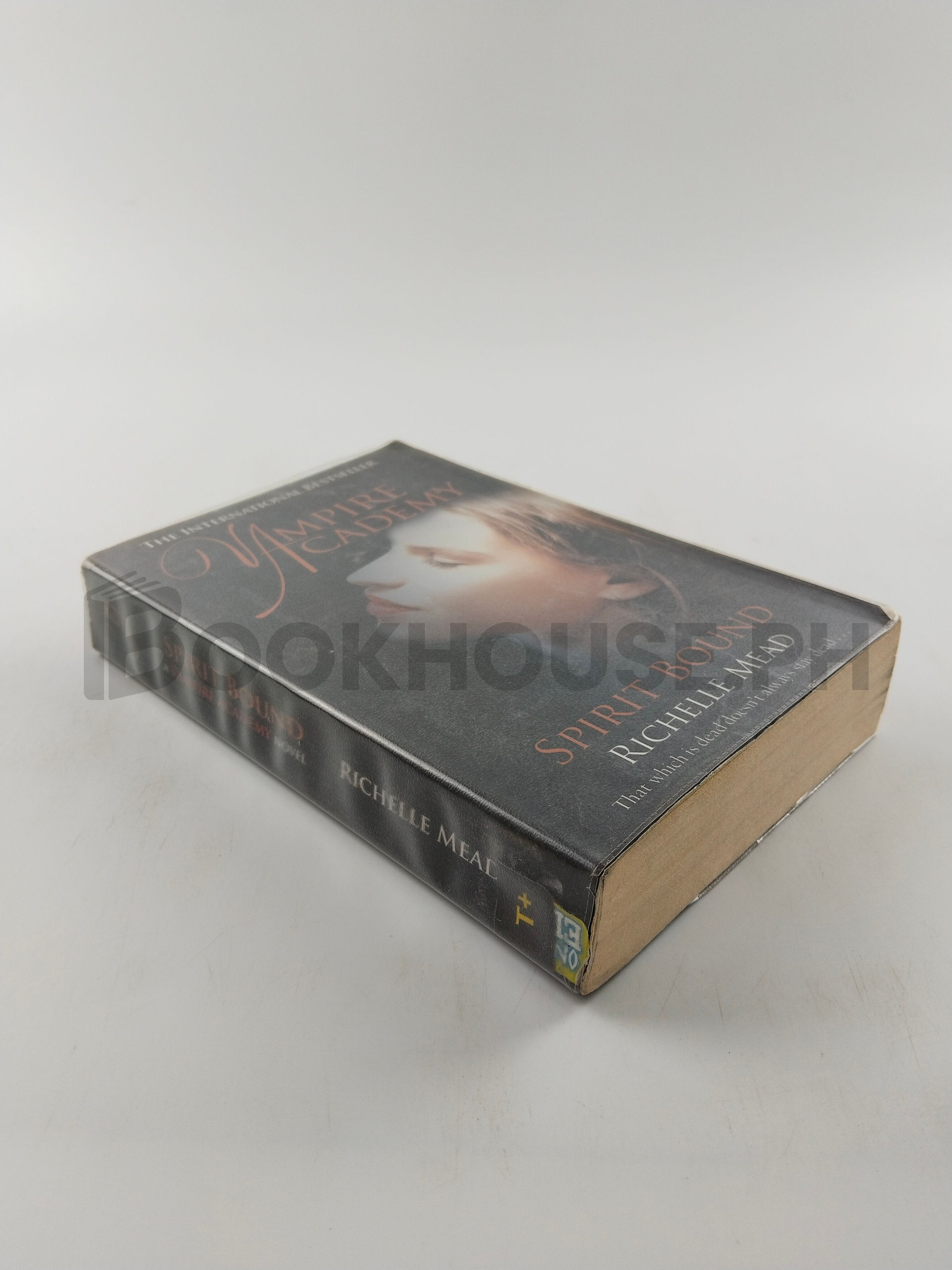 Vampire Academy by Richelle Mead - Image 2