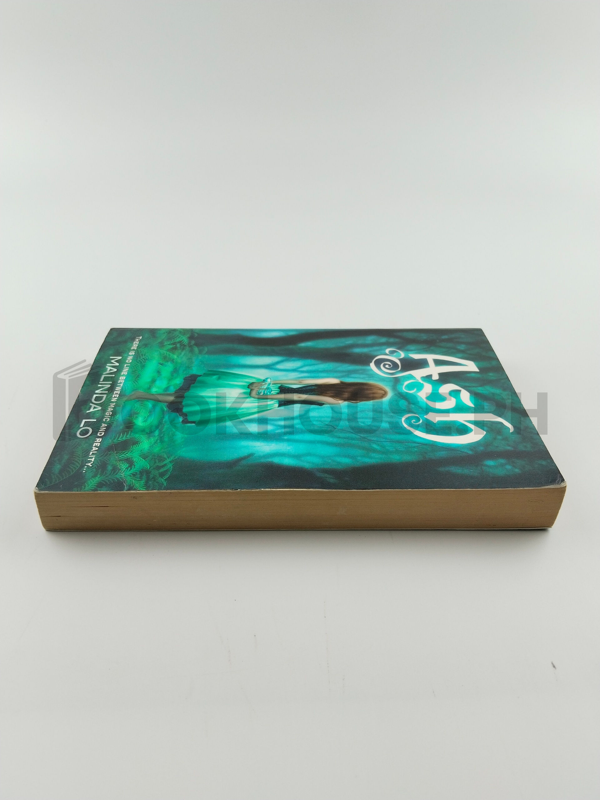 Ash by Malinda Lo - Image 4