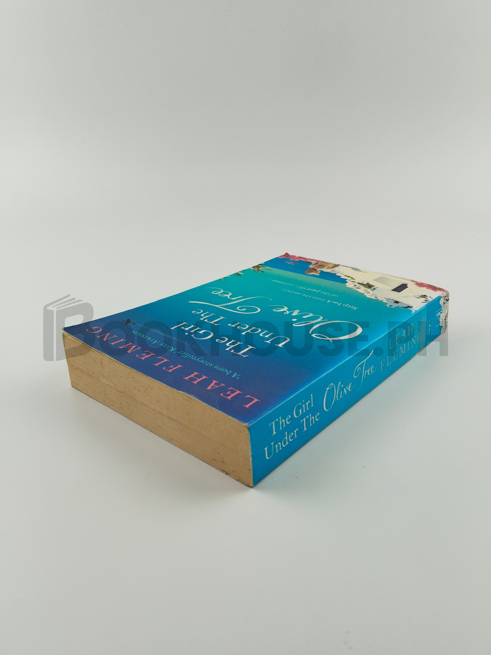 The Girl Under The Olive Tree by Leah Fleming - Image 2