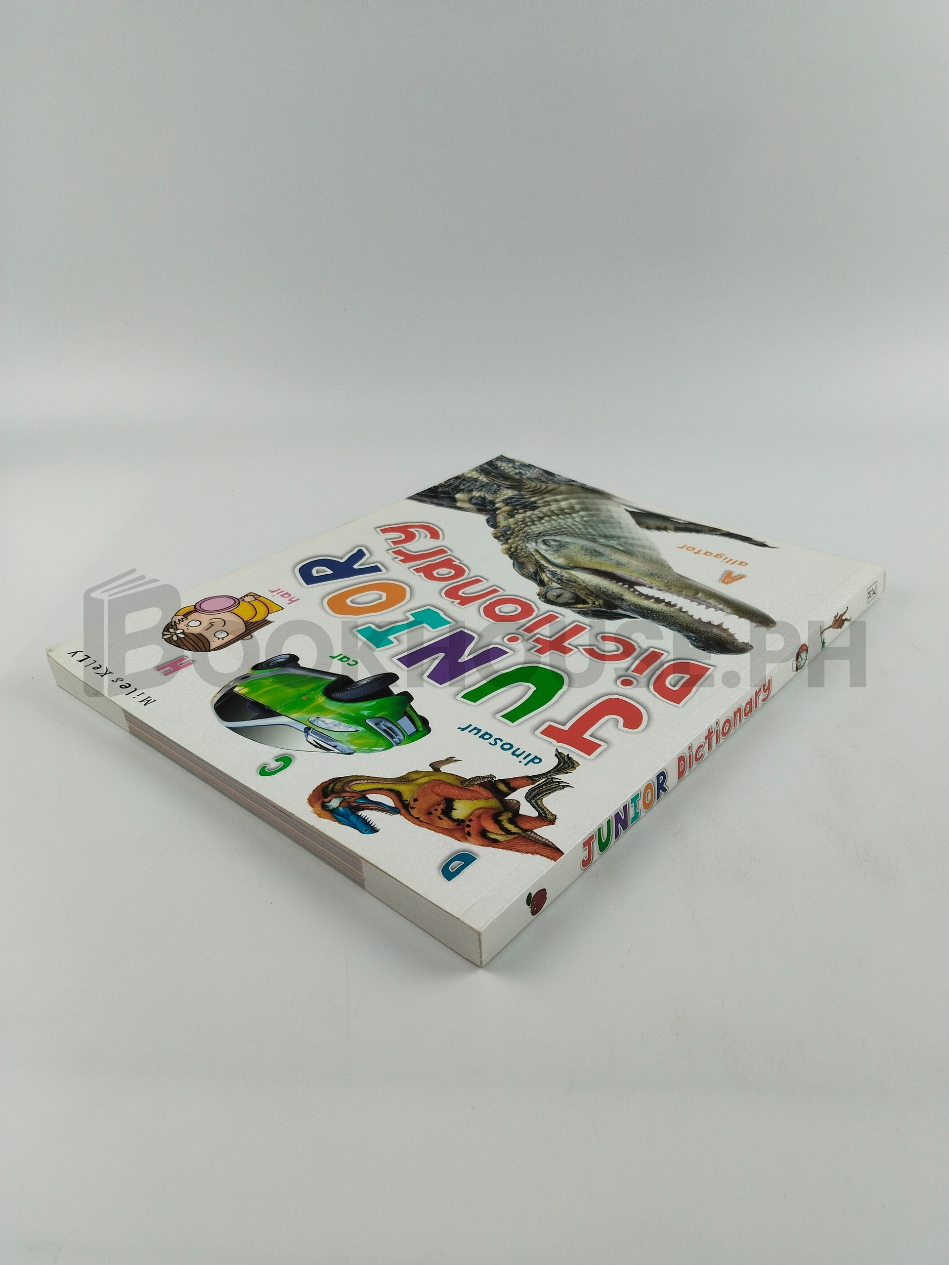 Junior Dictionary by Richard Kelly - Image 2