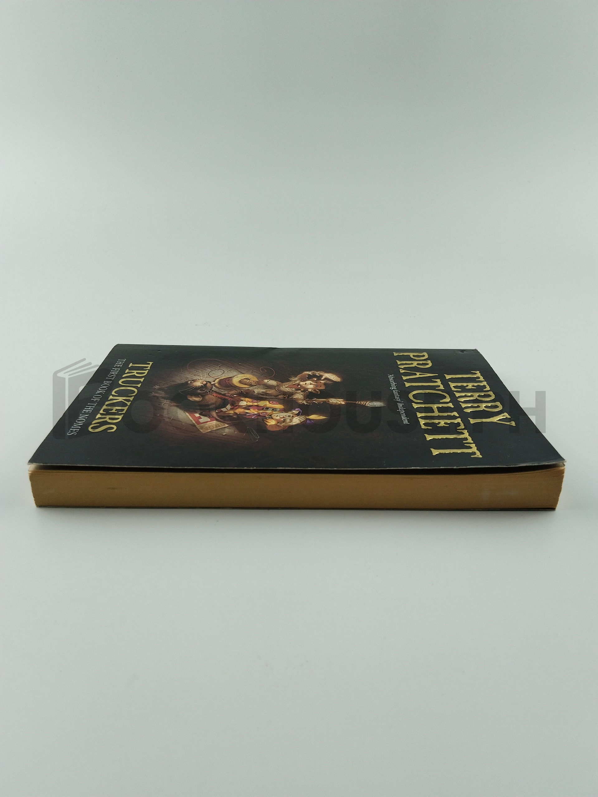 Truckers by Terry Pratchett - Image 4