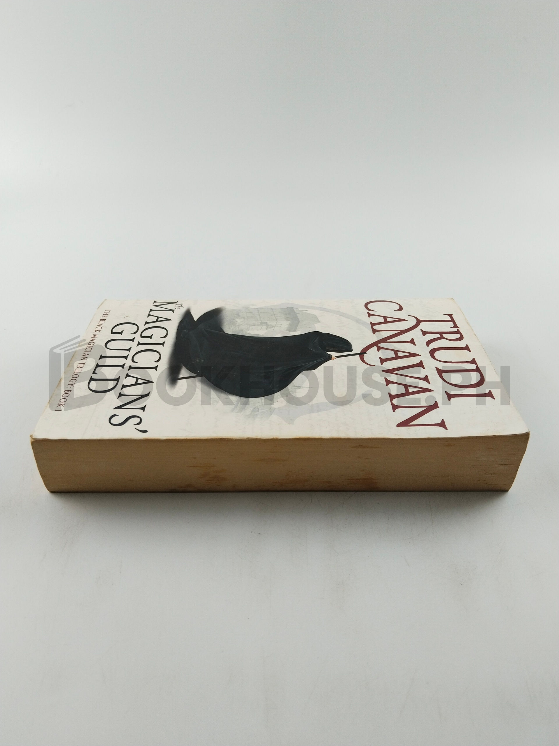 The Magicians' Guild by Trudi Canavan - Image 4