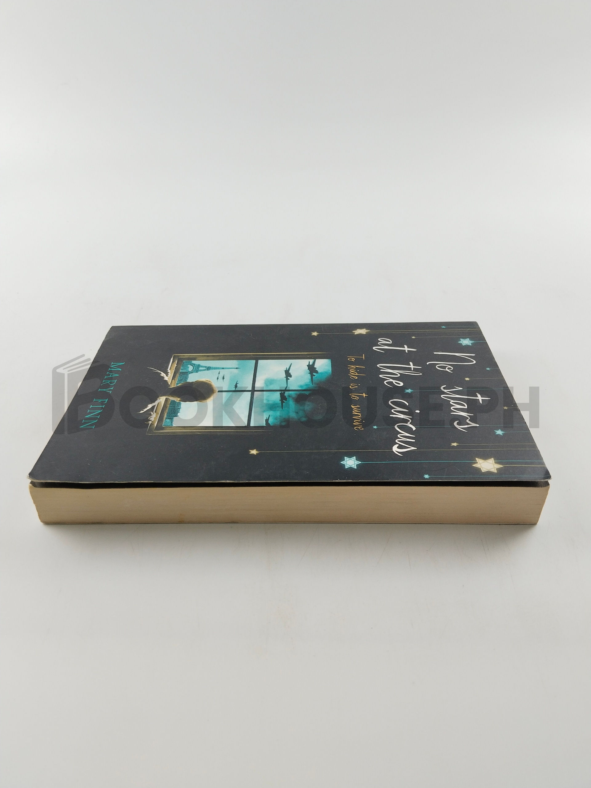 No Stars At The Circus by Mary Finn - Image 4