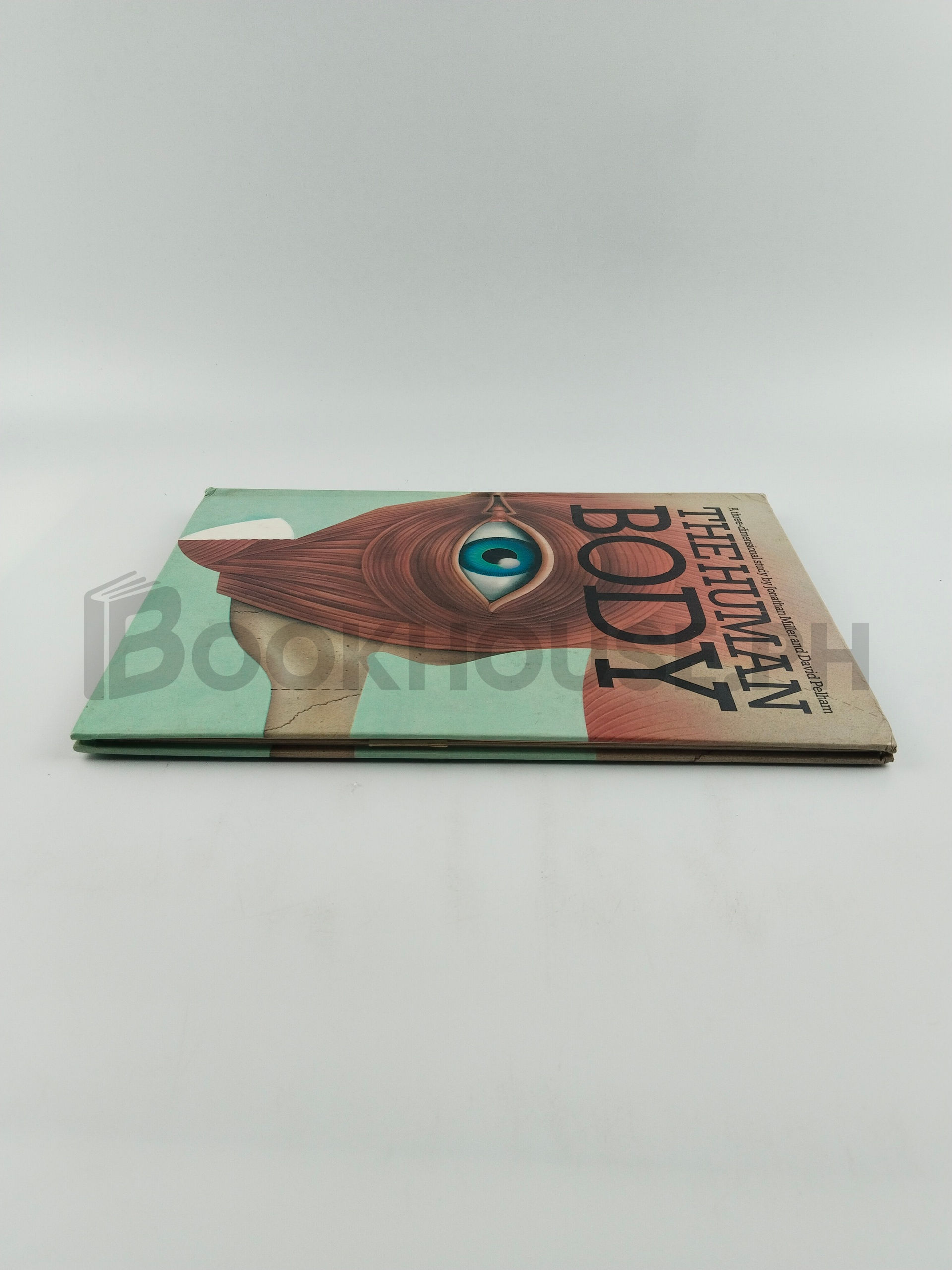 The Human Body by Jonathan Miller And David Pelham - Image 4