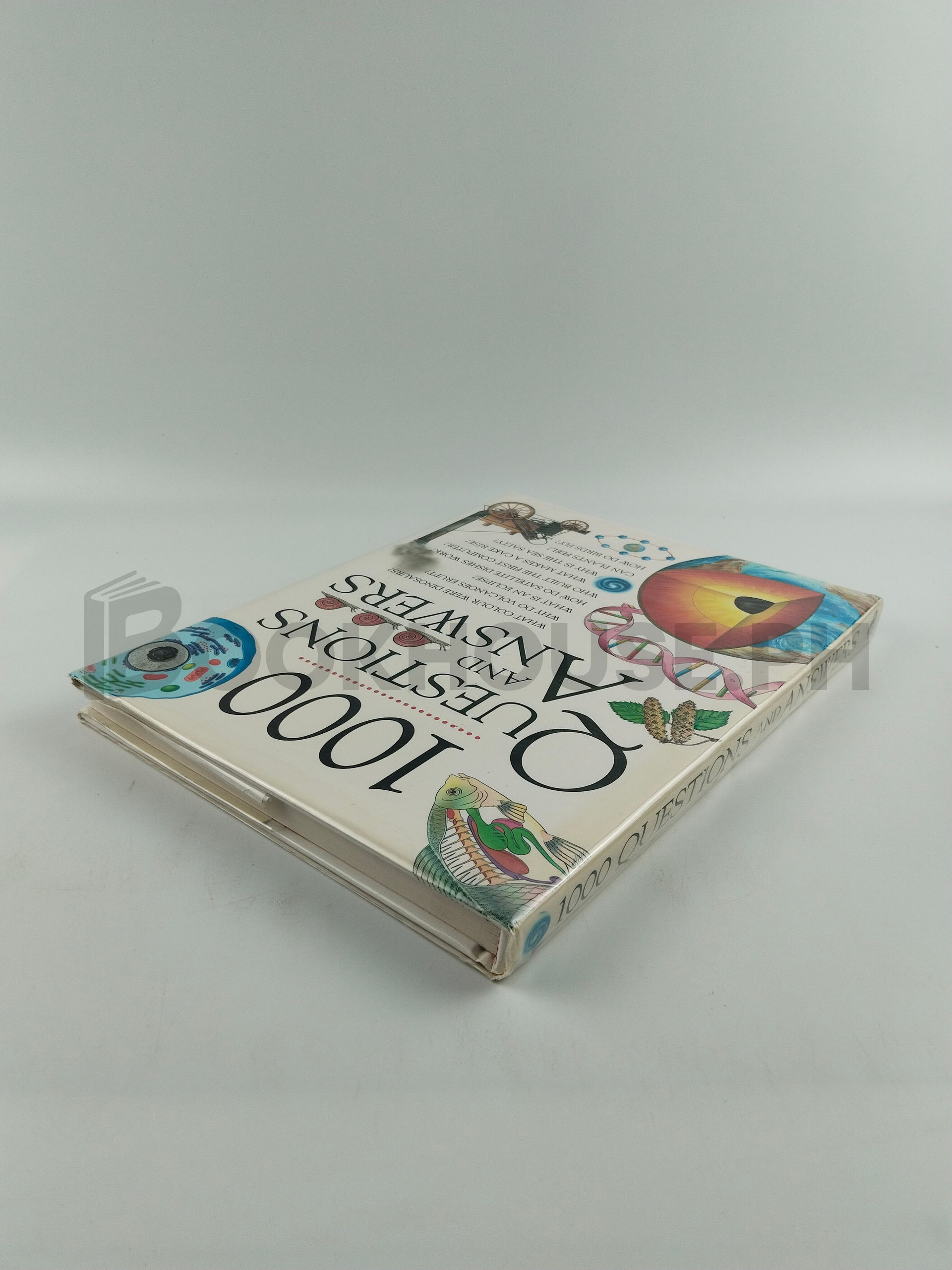 1000 Questions And Answers by Nicola Baxter - Image 2