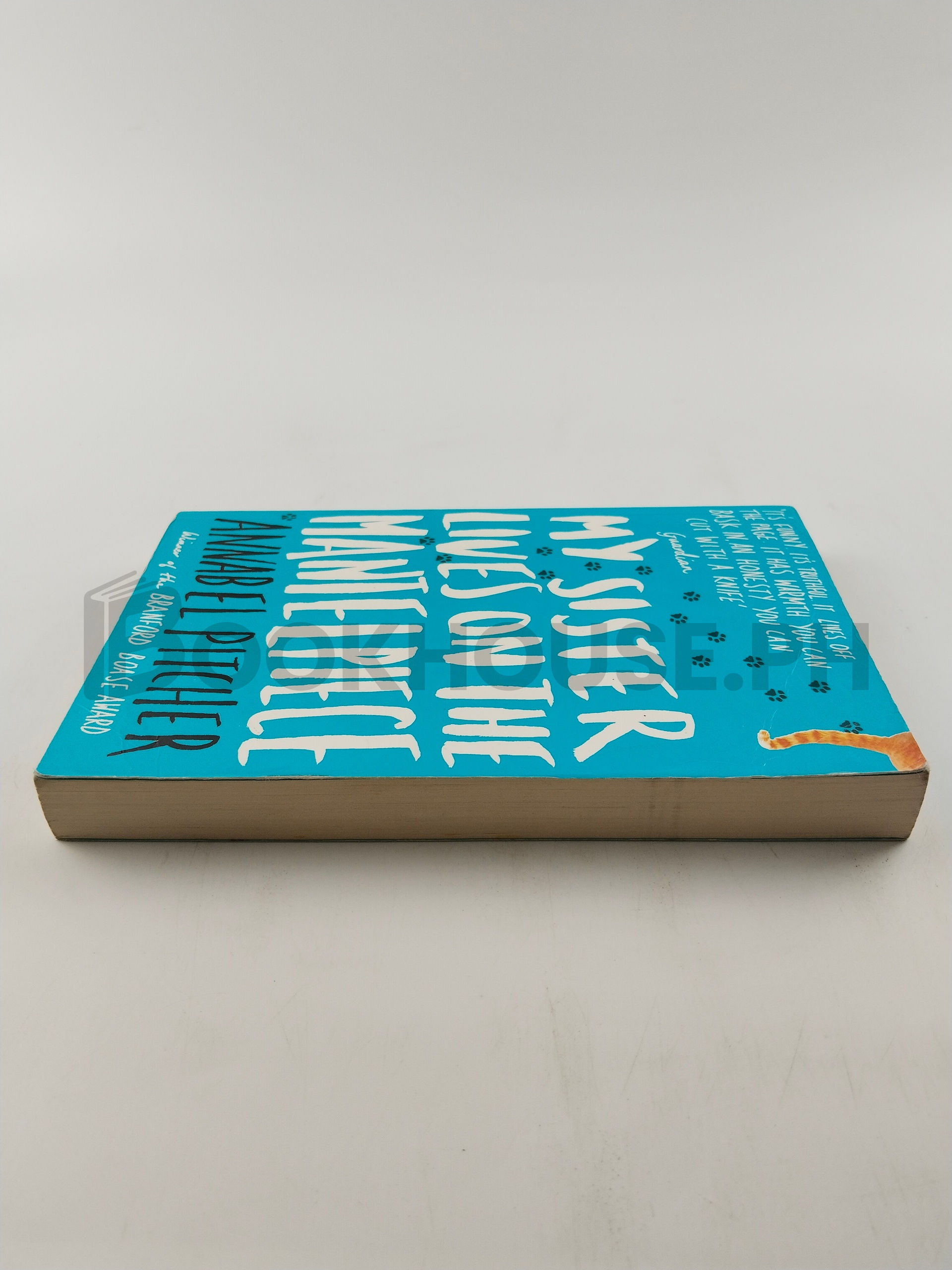 My Sister Lives On The Mantelpiece by Annabel Pitcher - Image 4