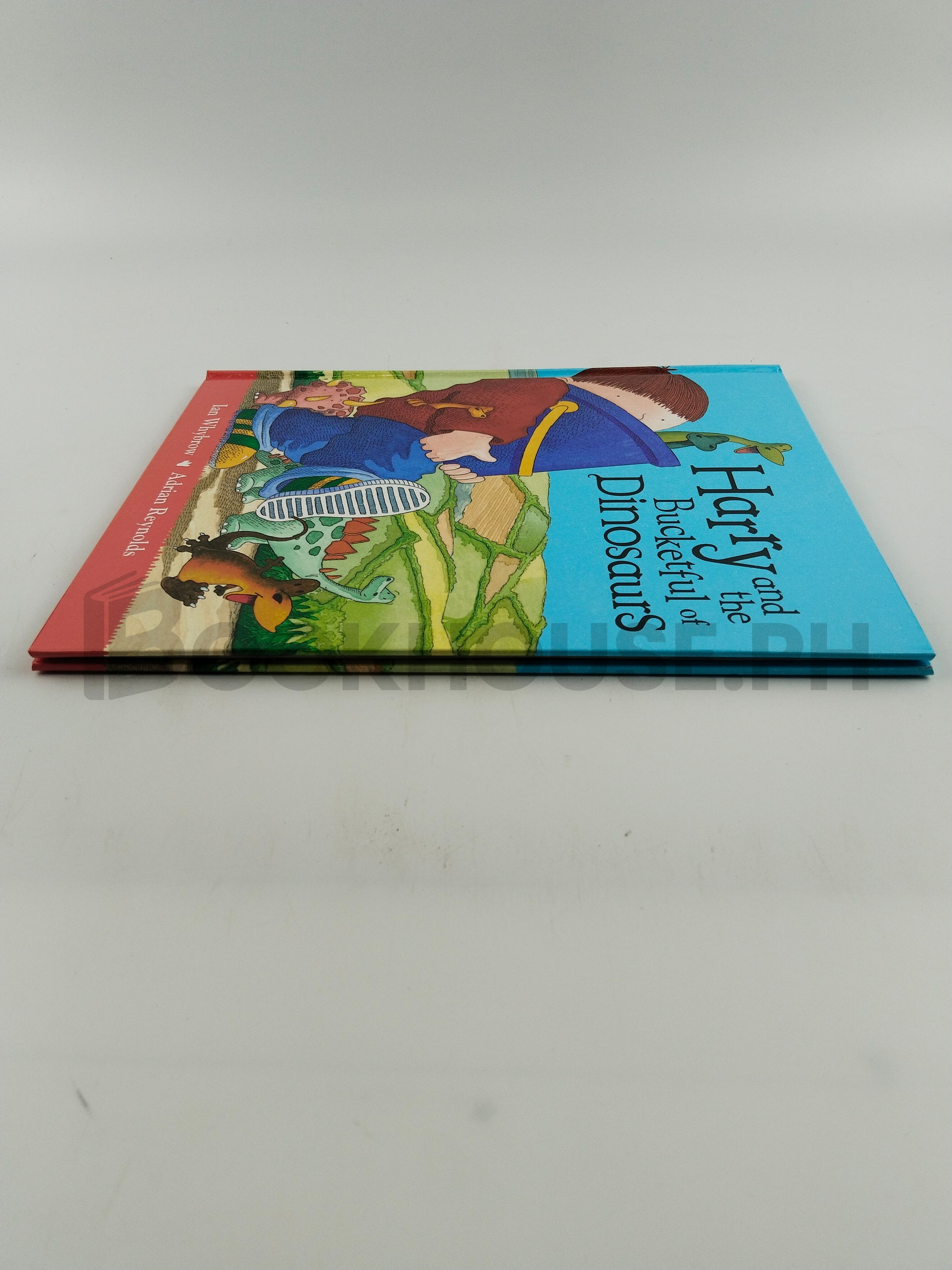 Harry And The Bucketful Of Dinosaurs by Ian Whybrow - Image 4