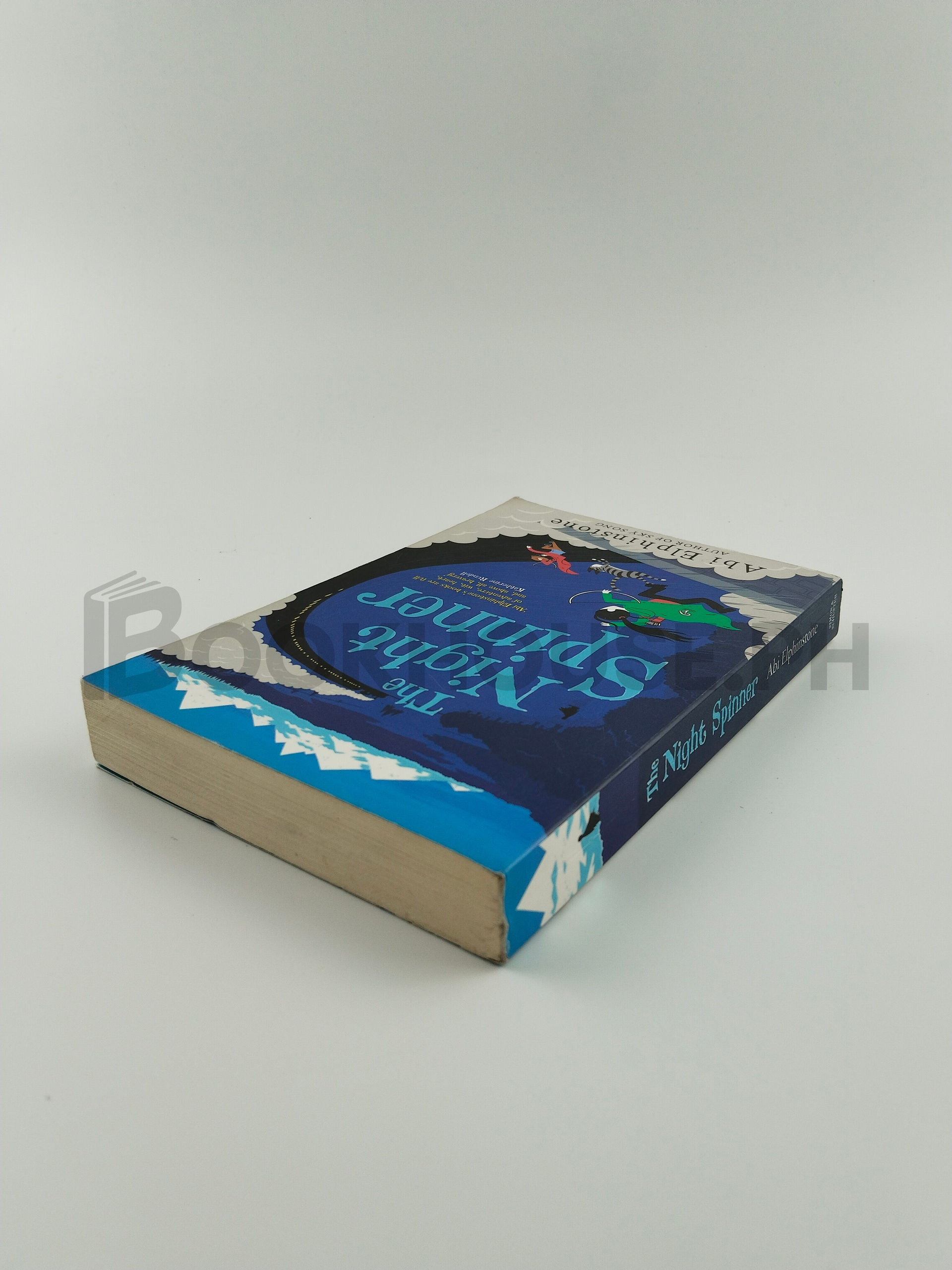 The Night Spinner by Abi Elphinstone - Image 2