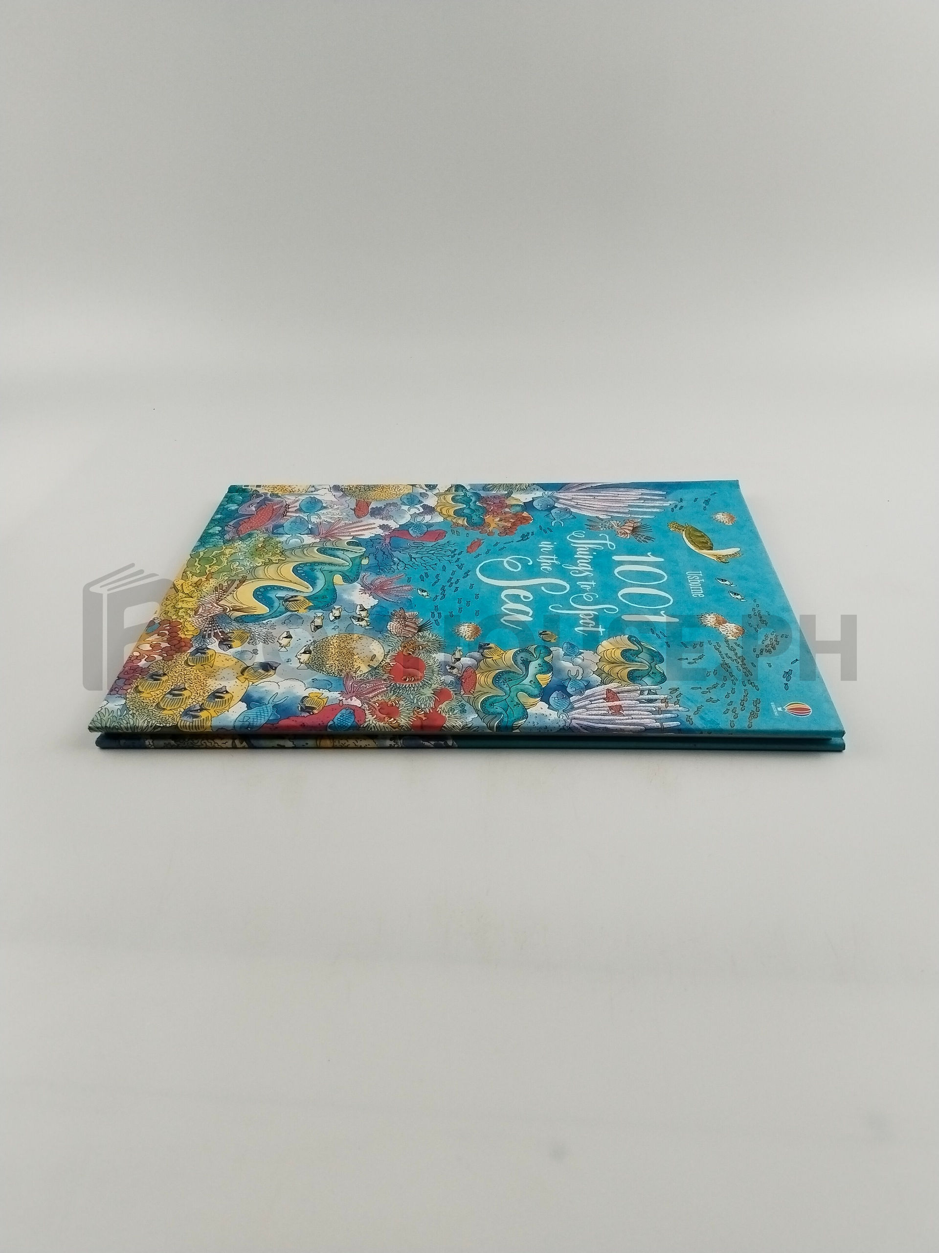 1001 Things To Spot In The Sea by Emma Helbrough, Susanna Davidson, Katie Daynes - Image 4