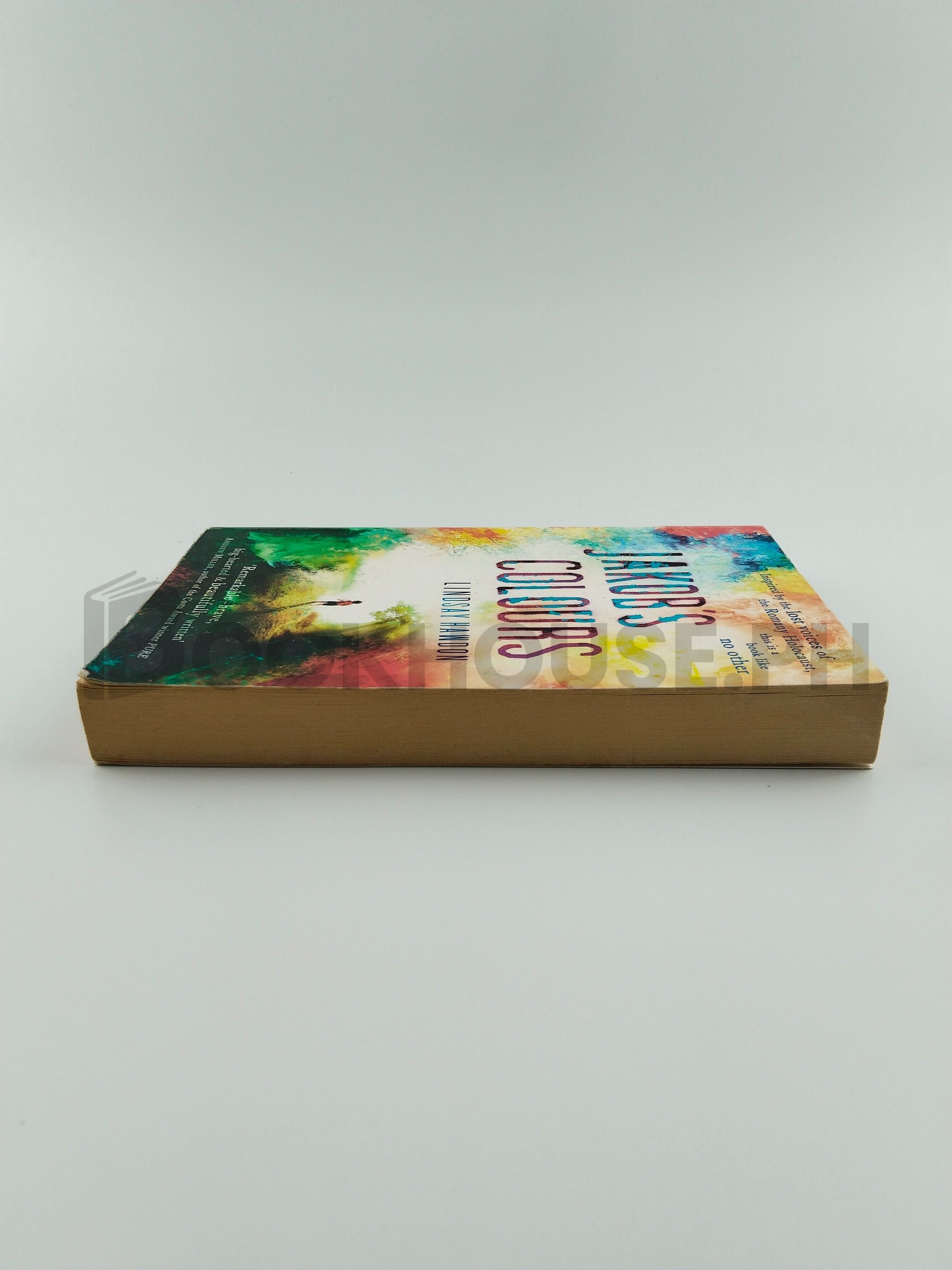 Jakob's Colours by Lindsay Hawdon - Image 4