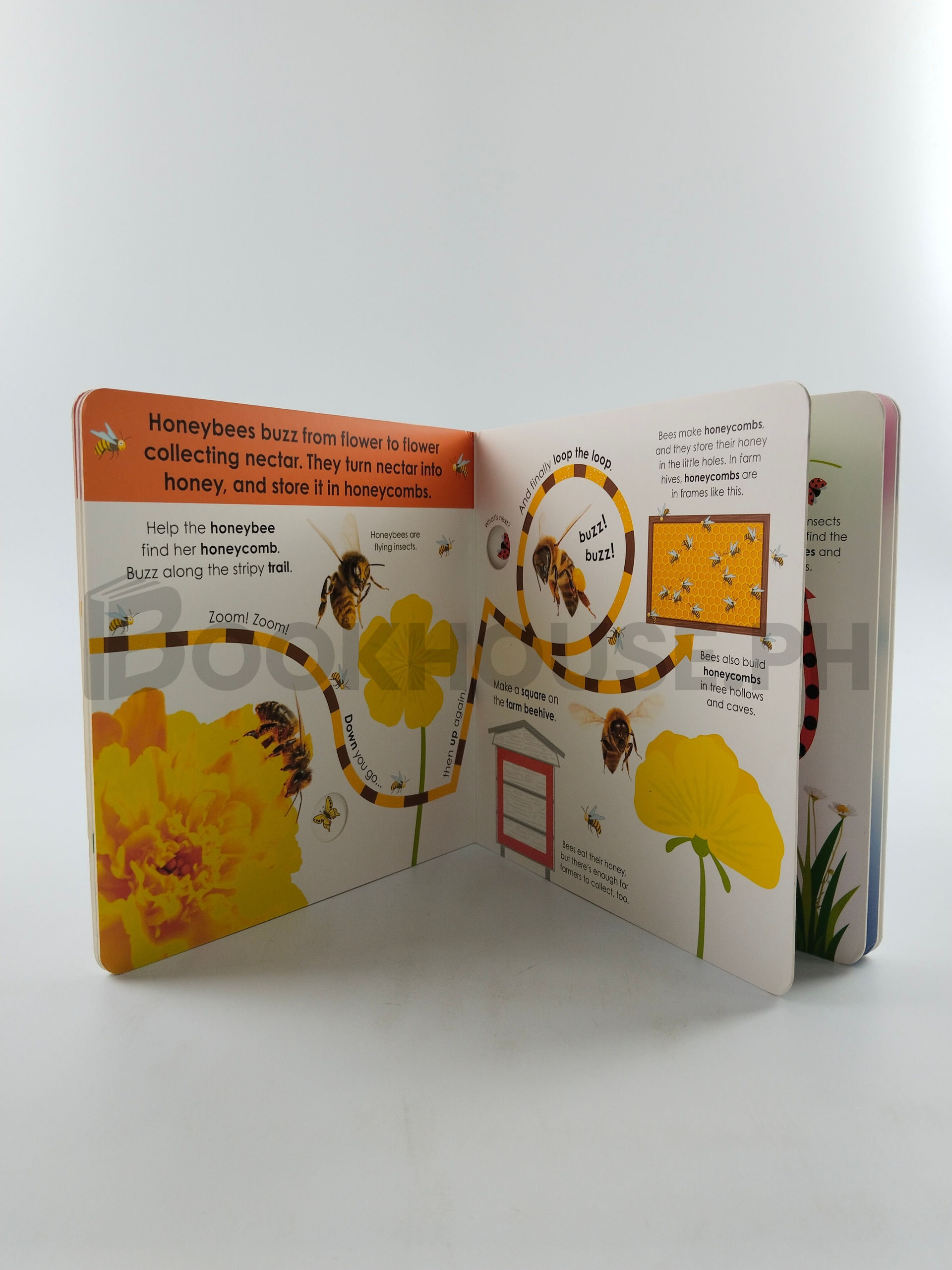 Follow The Trail Minibeasts by Dorling Kindersley - Image 5