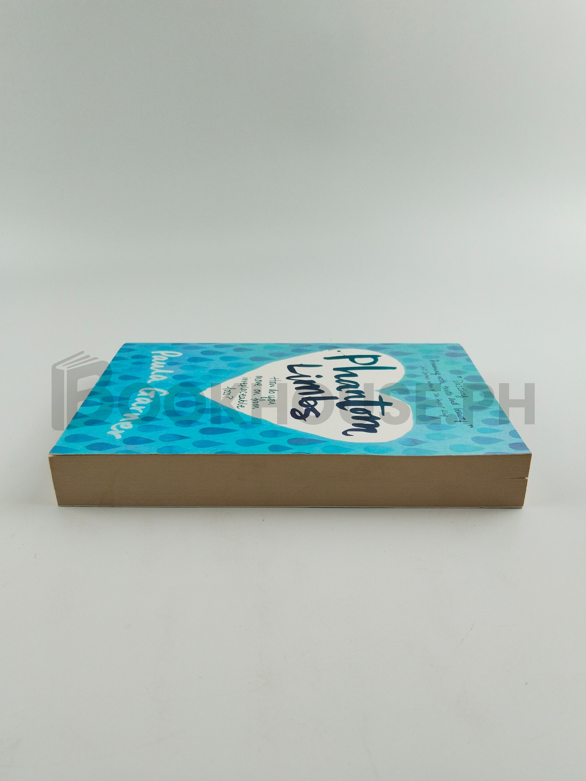 Phantom Limbs by Paula Garner - Image 4