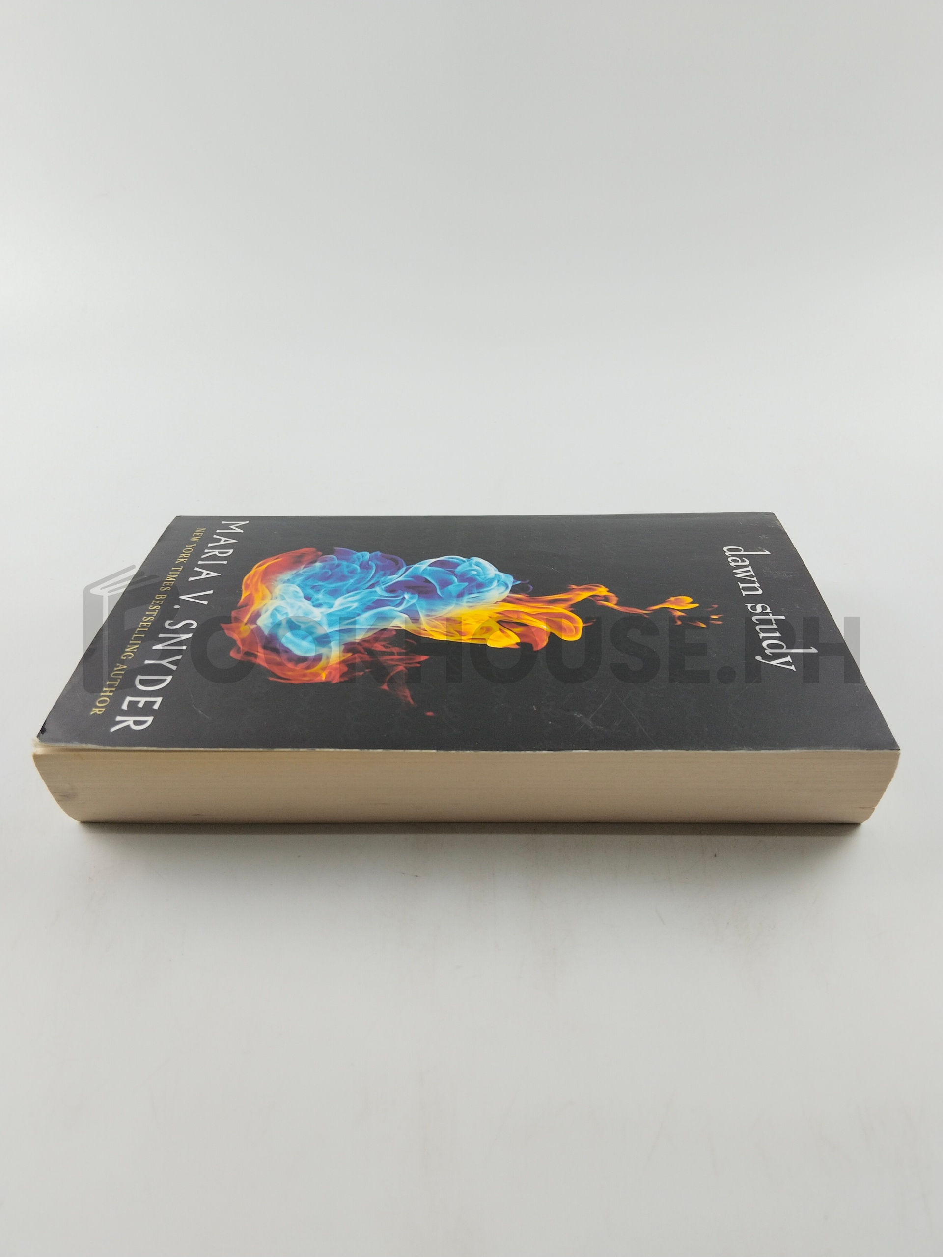 Dawn Study by Maria V. Snyder - Image 4