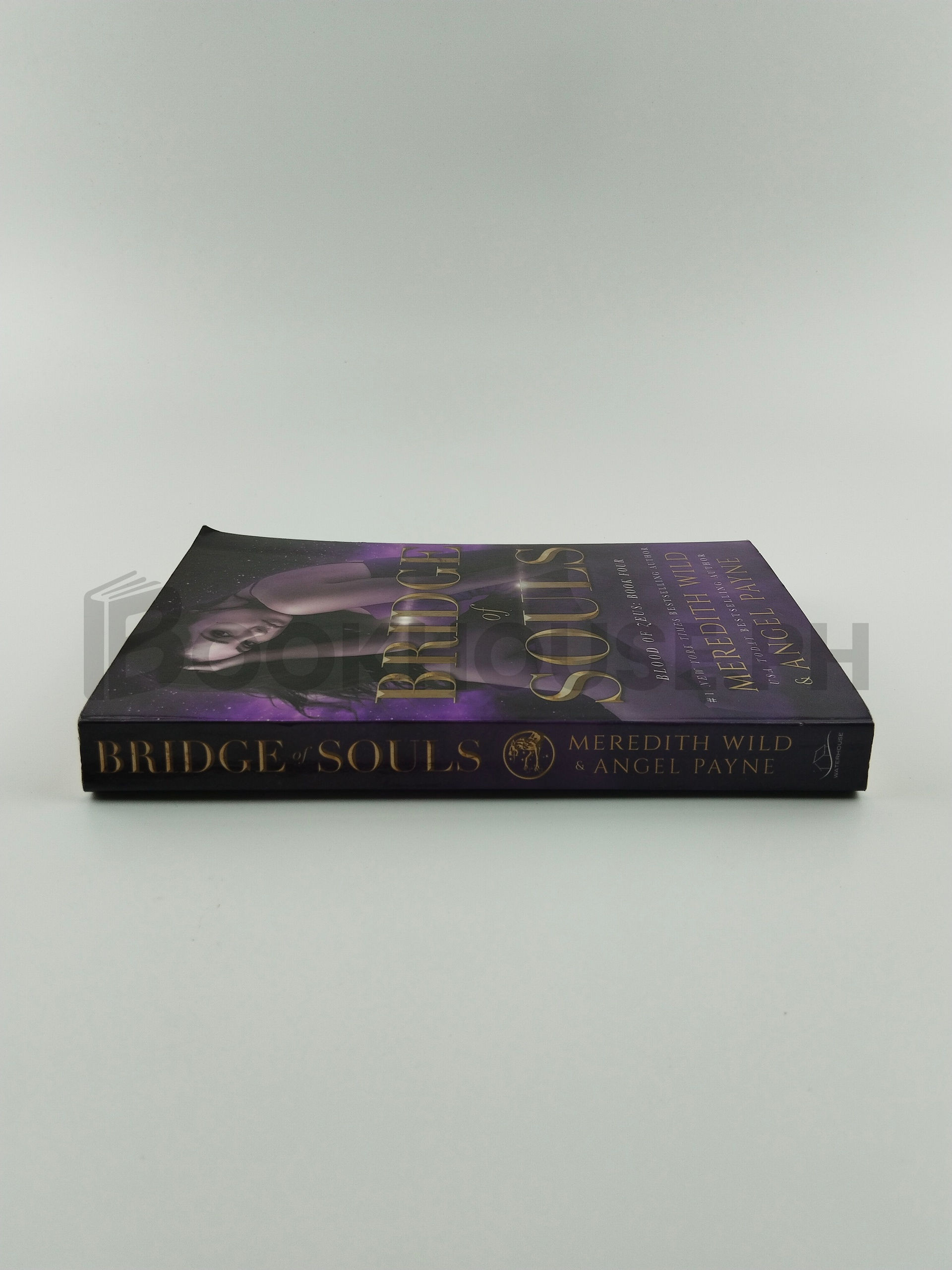 Bridge Of Souls by Meredith Wild, Angel Payne - Image 3