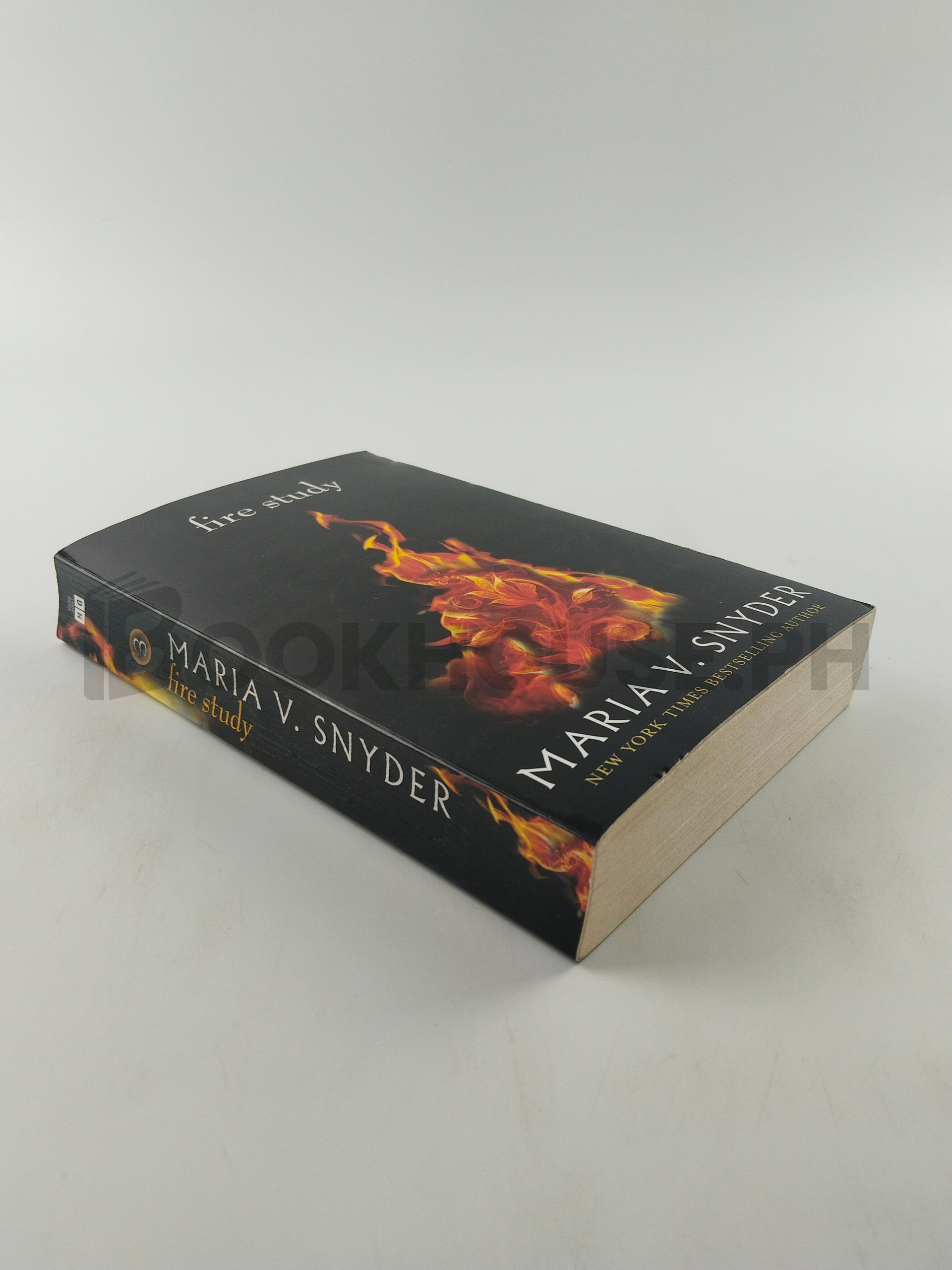 Fire Study by Maria V. Snyder - Image 2