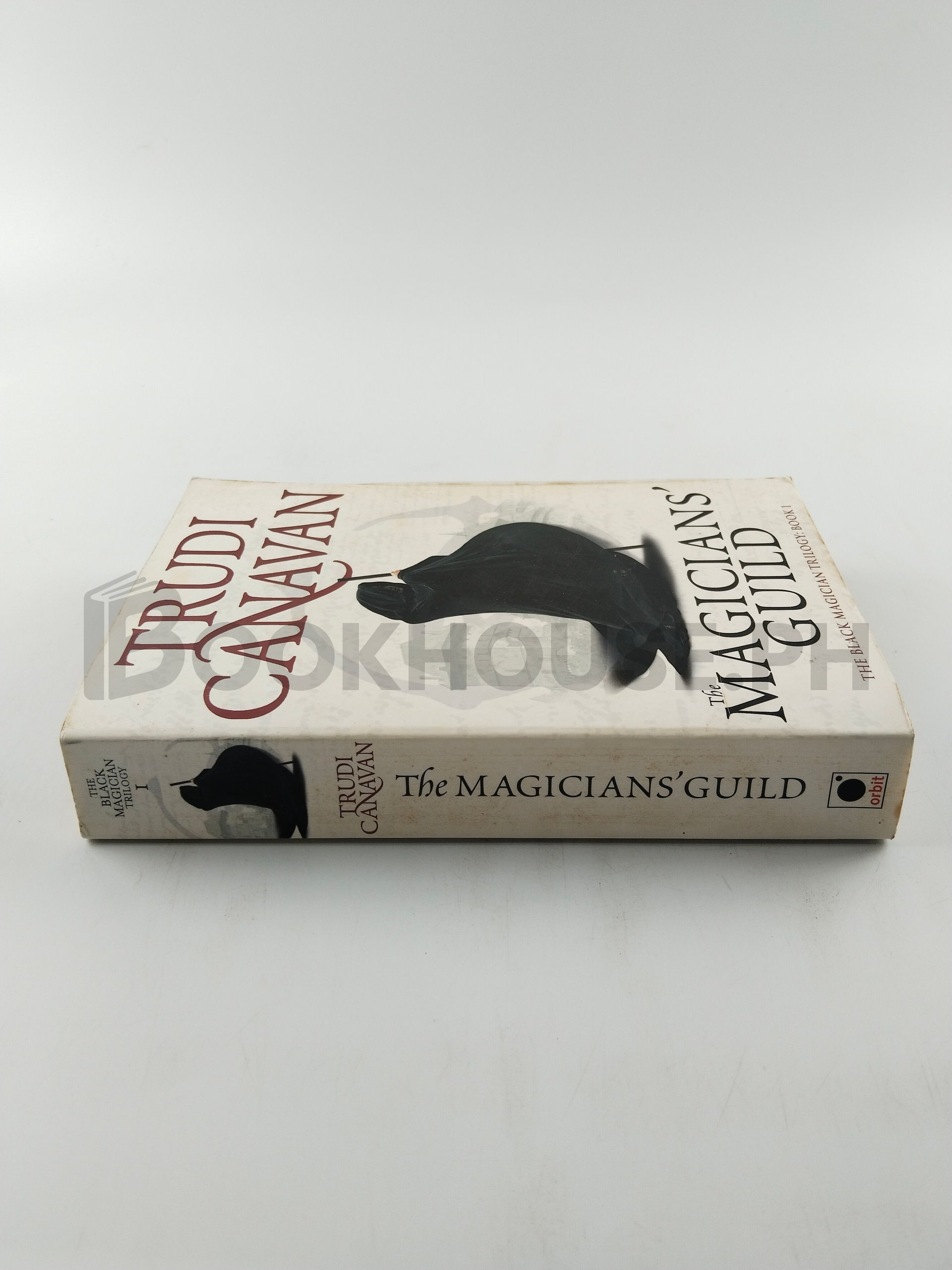 The Magicians' Guild by Trudi Canavan - Image 3