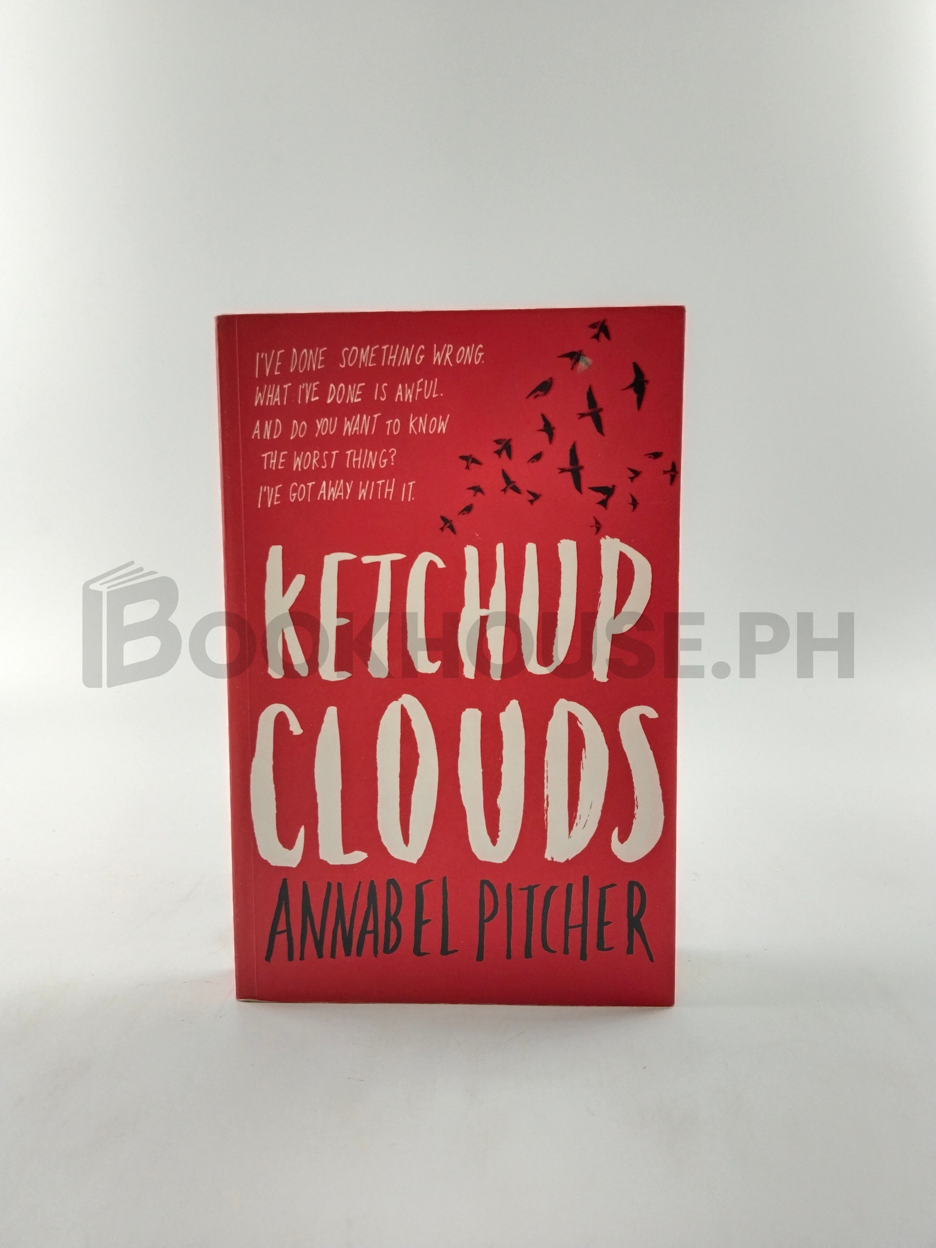 Ketchup Clouds by Annabel Pitcher