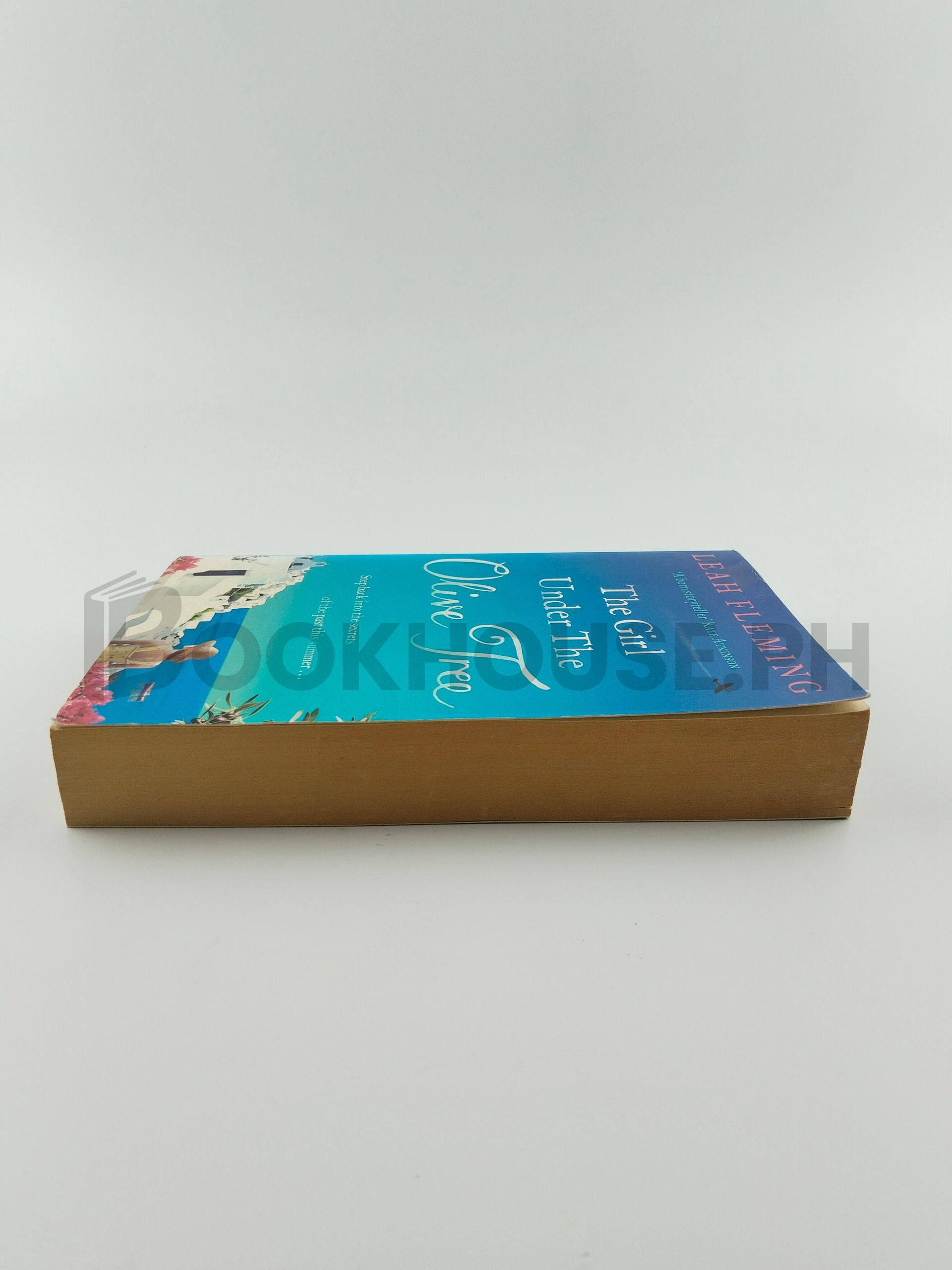 The Girl Under The Olive Tree by Leah Fleming - Image 4