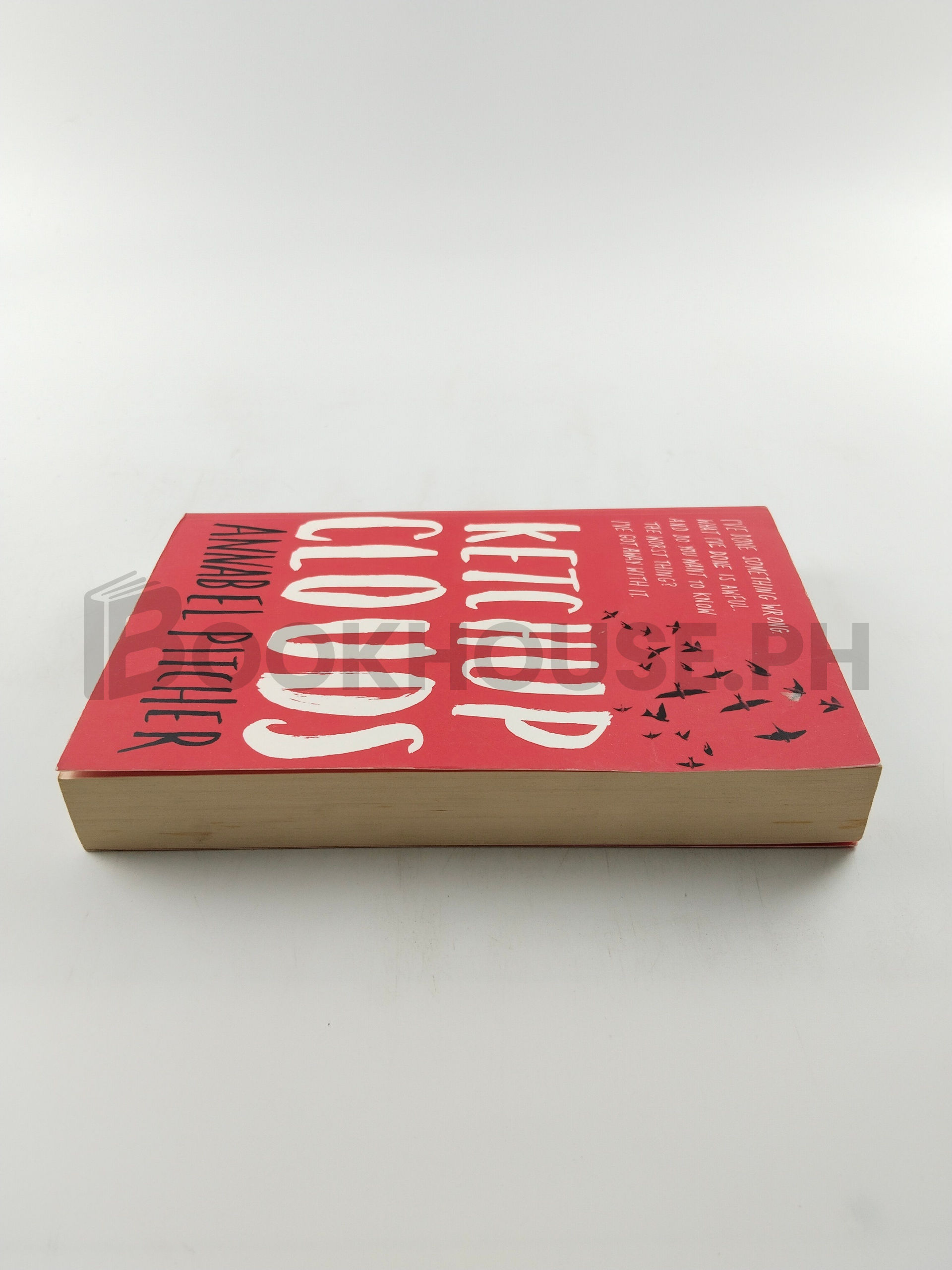 Ketchup Clouds by Annabel Pitcher - Image 4