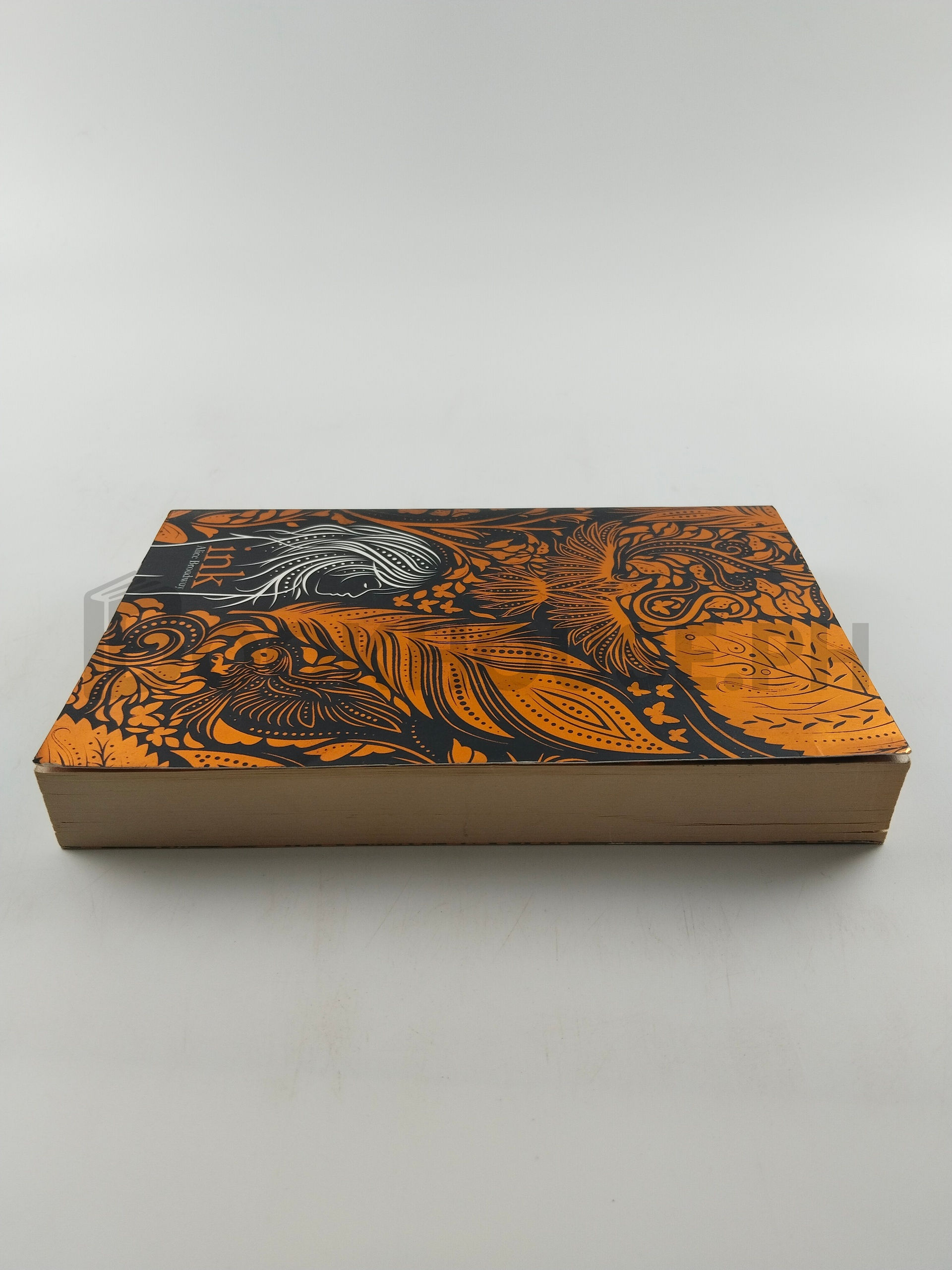 Ink by Alice Broadway - Image 4