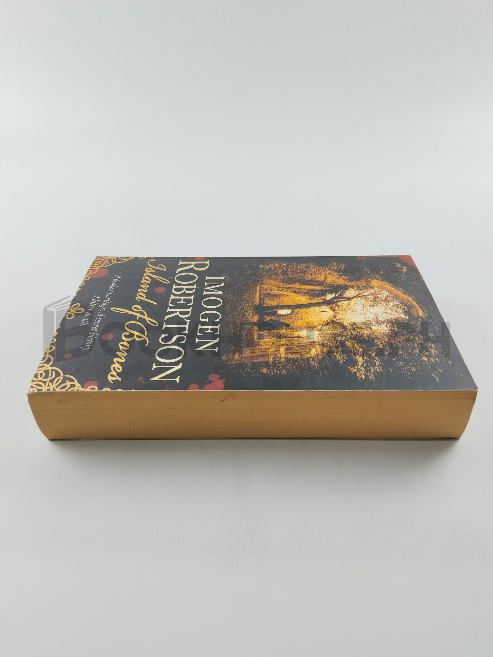 Island Of Bones by Imogen Robertson - Image 4