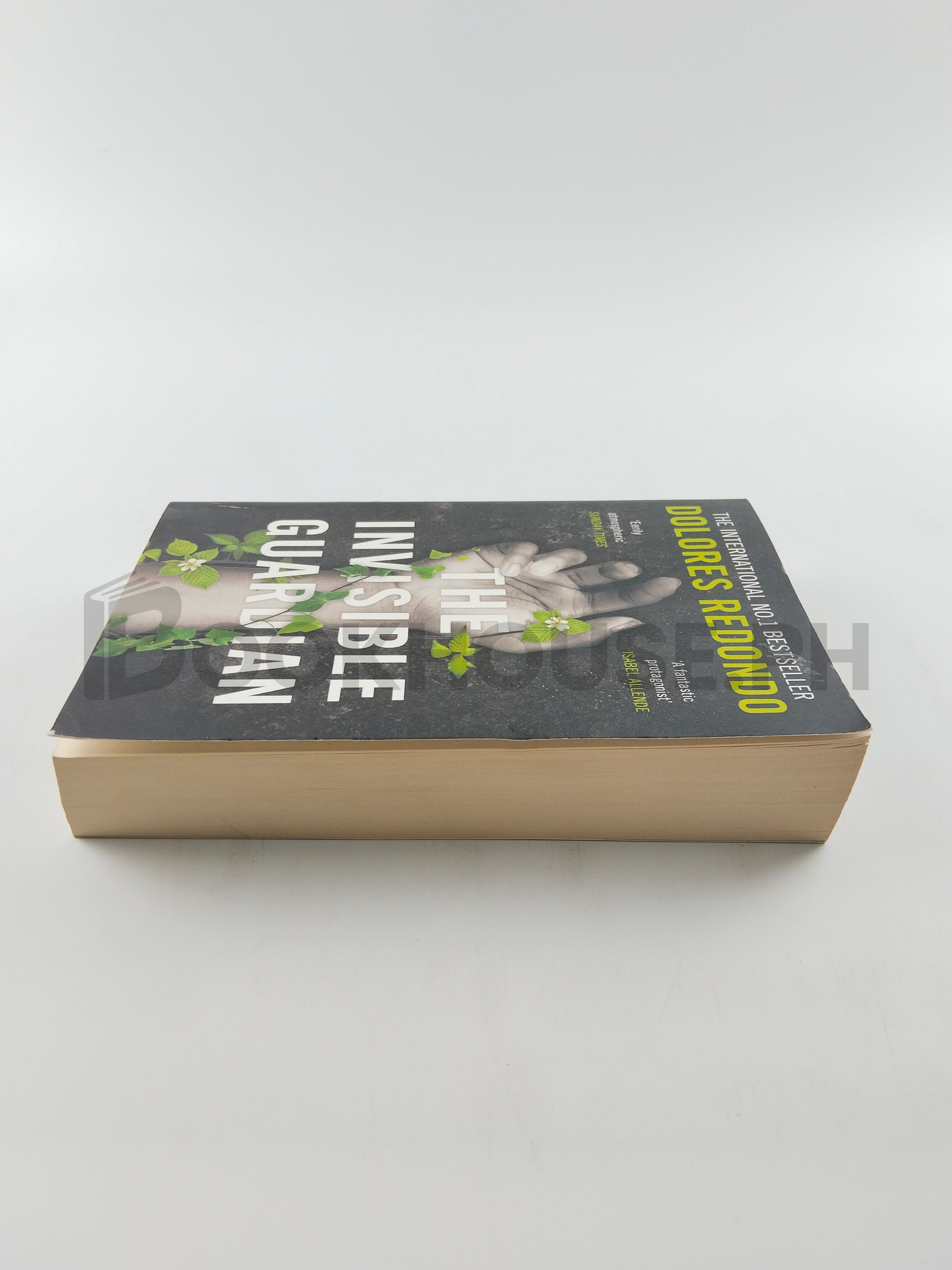 The Invisible Guardian by Dolores Redondo - Image 4