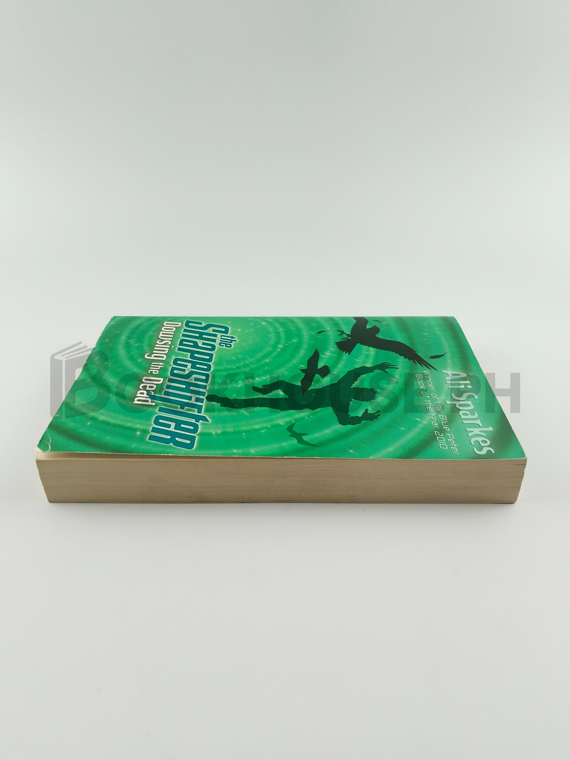 Dowsing The Dead: The Shapeshifter 4 by Ali Sparkes - Image 4