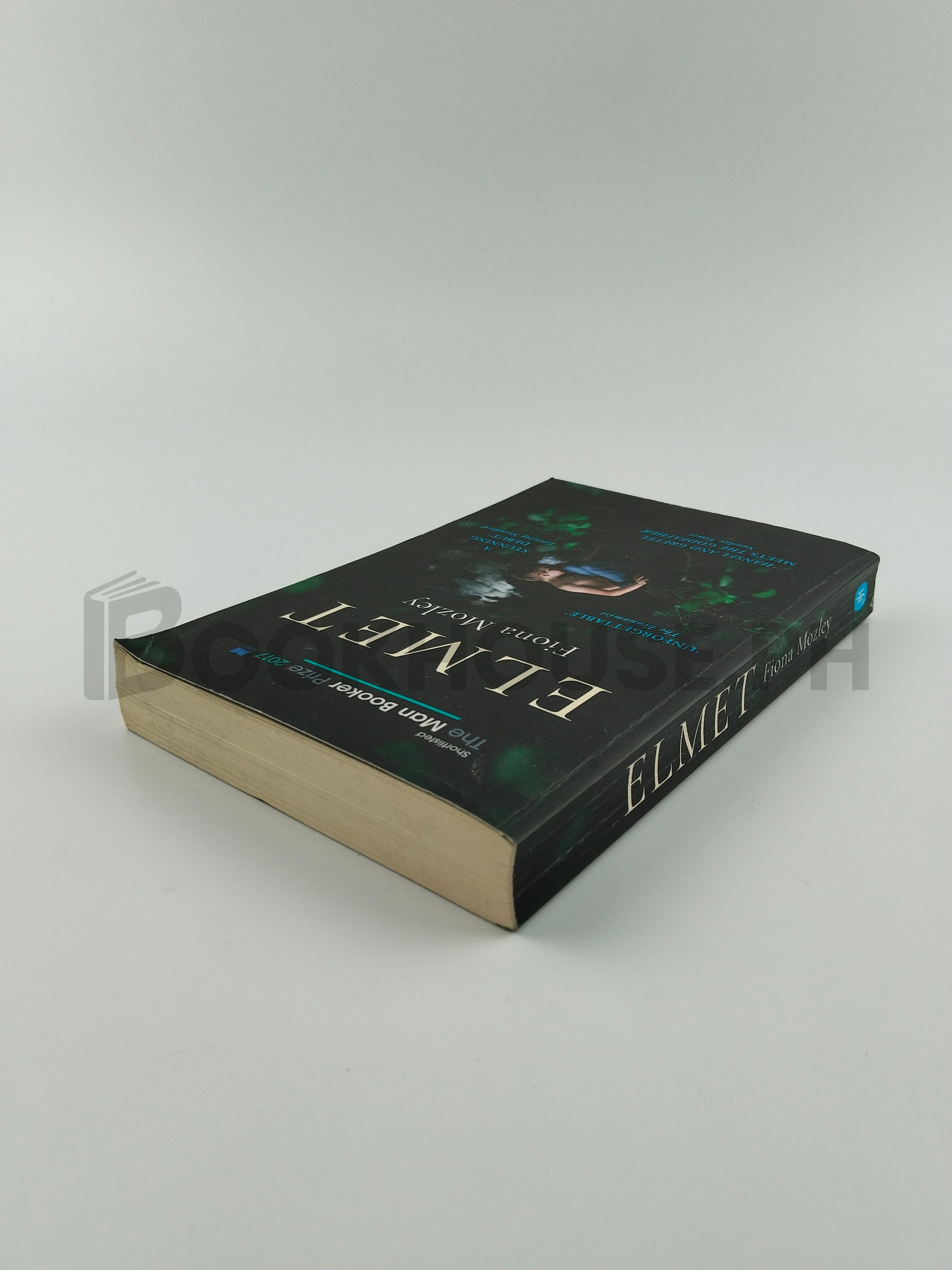 Elmet by Fiona Mozley - Image 2