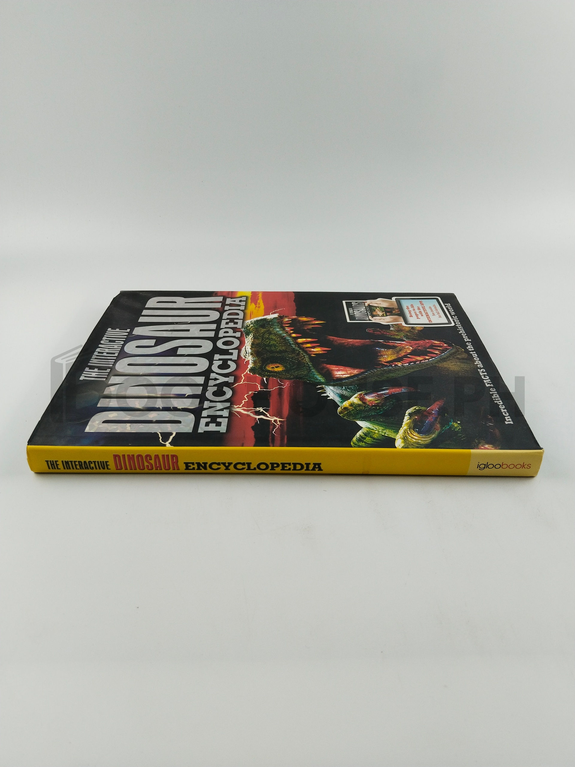 Dinosaurs by Igloobooks - Image 3