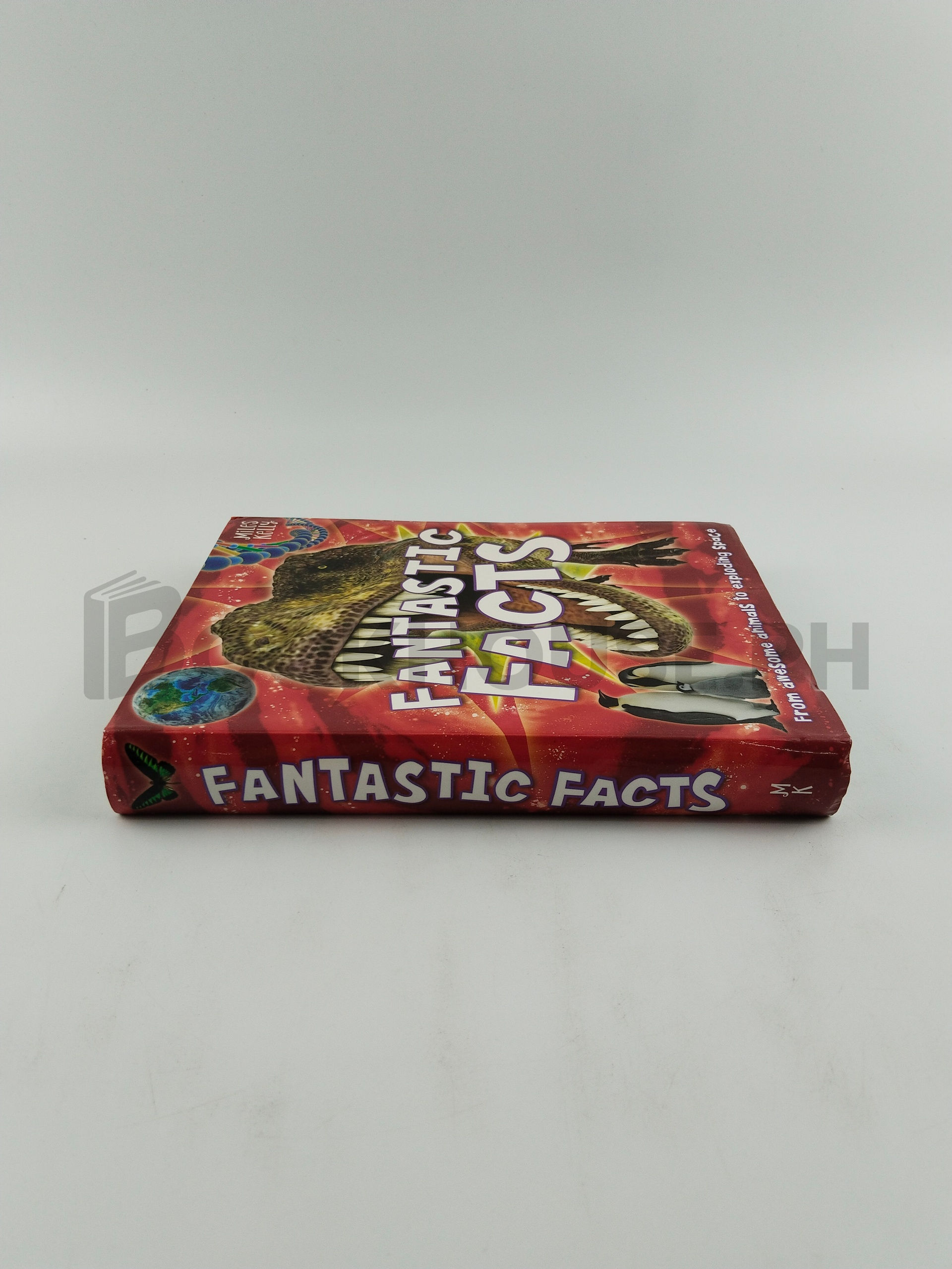 Fantastic Facts by Miles Kelly - Image 3
