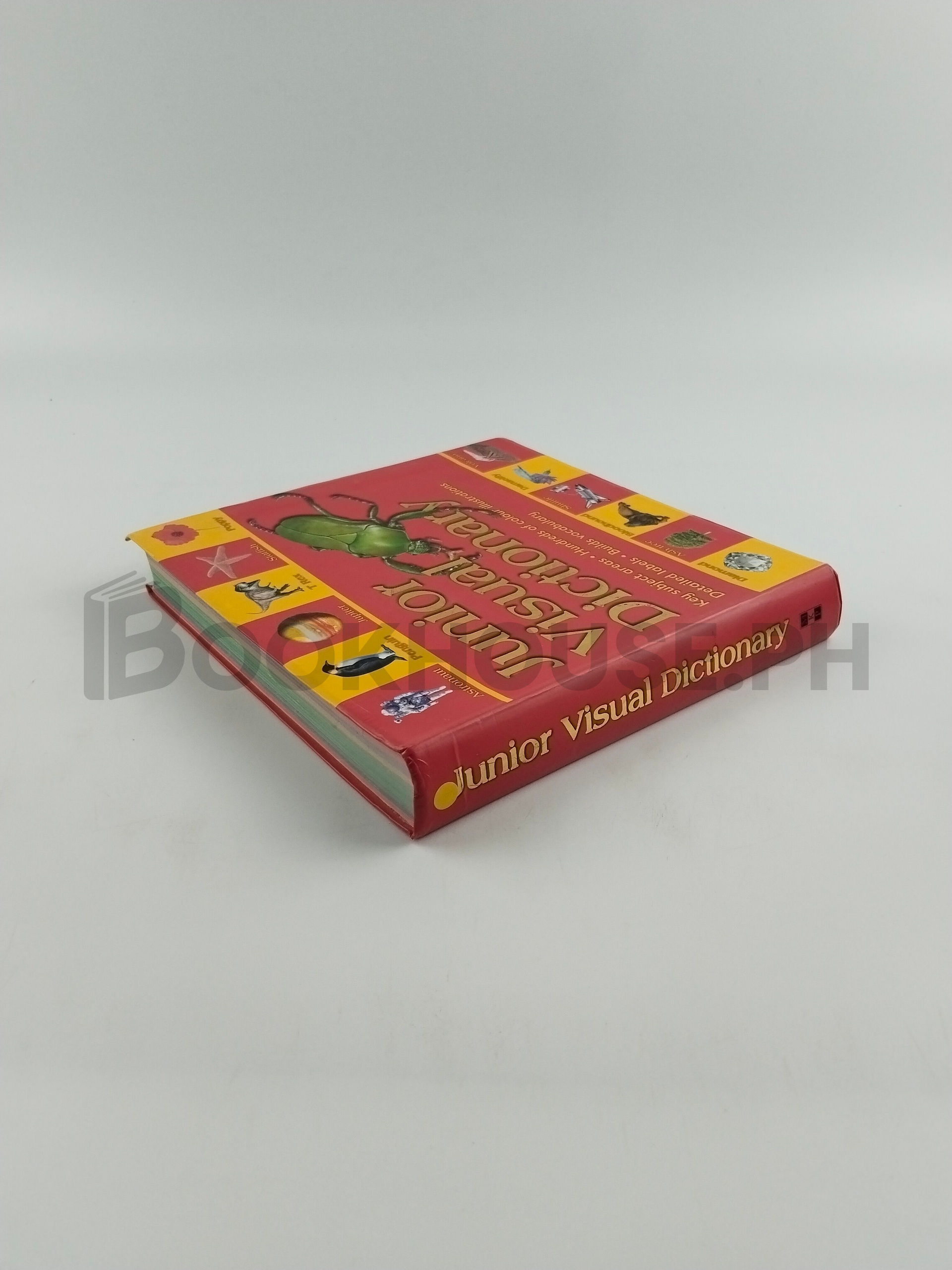 Junior Visual Dictionary by Rosalind Mcguire - Image 2