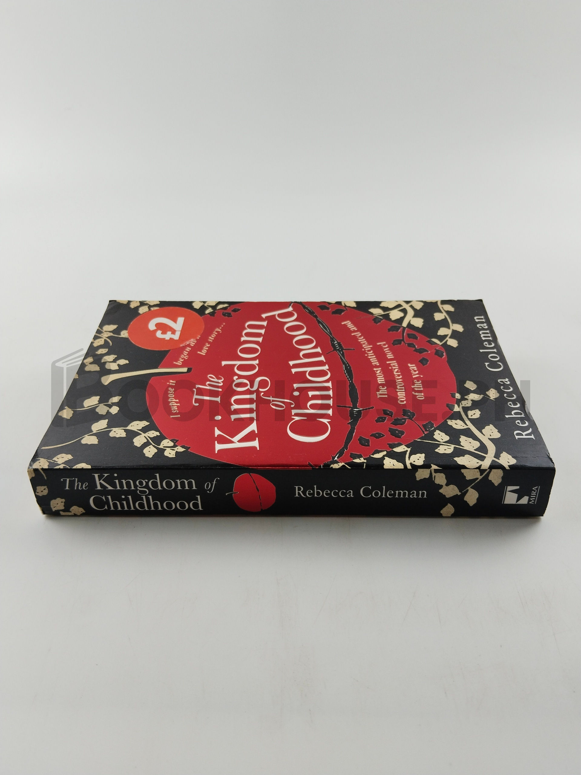 The Kingdom Of Childhood by Rebecca Coleman - Image 3