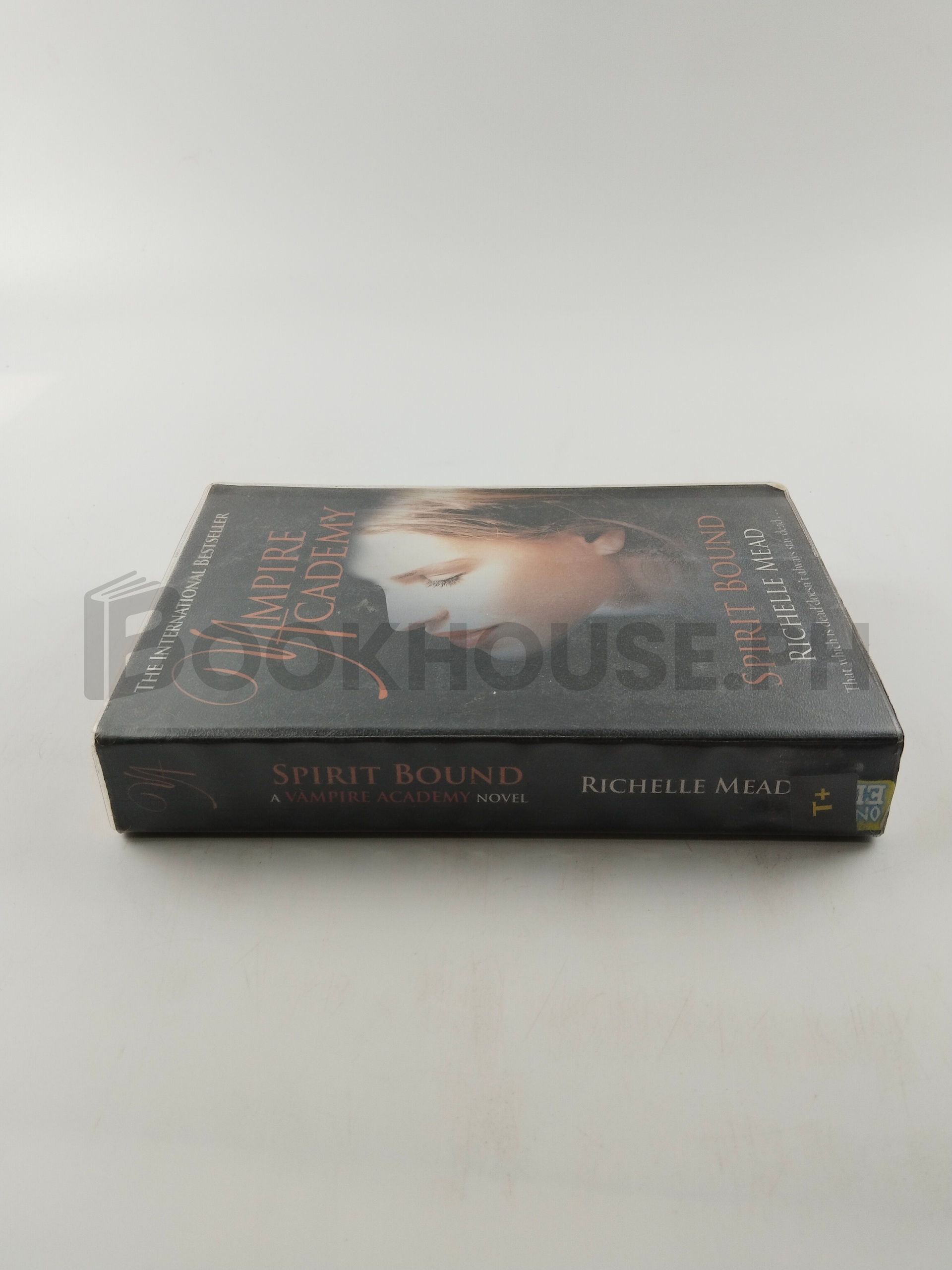 Vampire Academy by Richelle Mead - Image 3