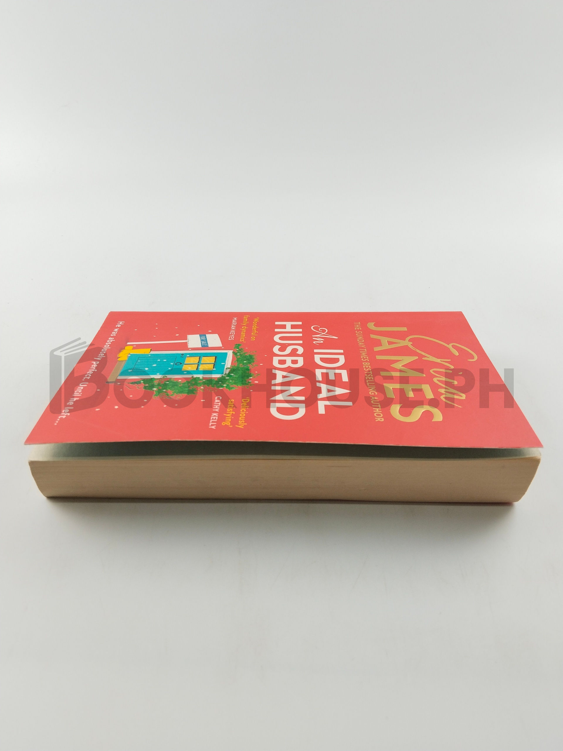 An Ideal Husband by Erica James - Image 4