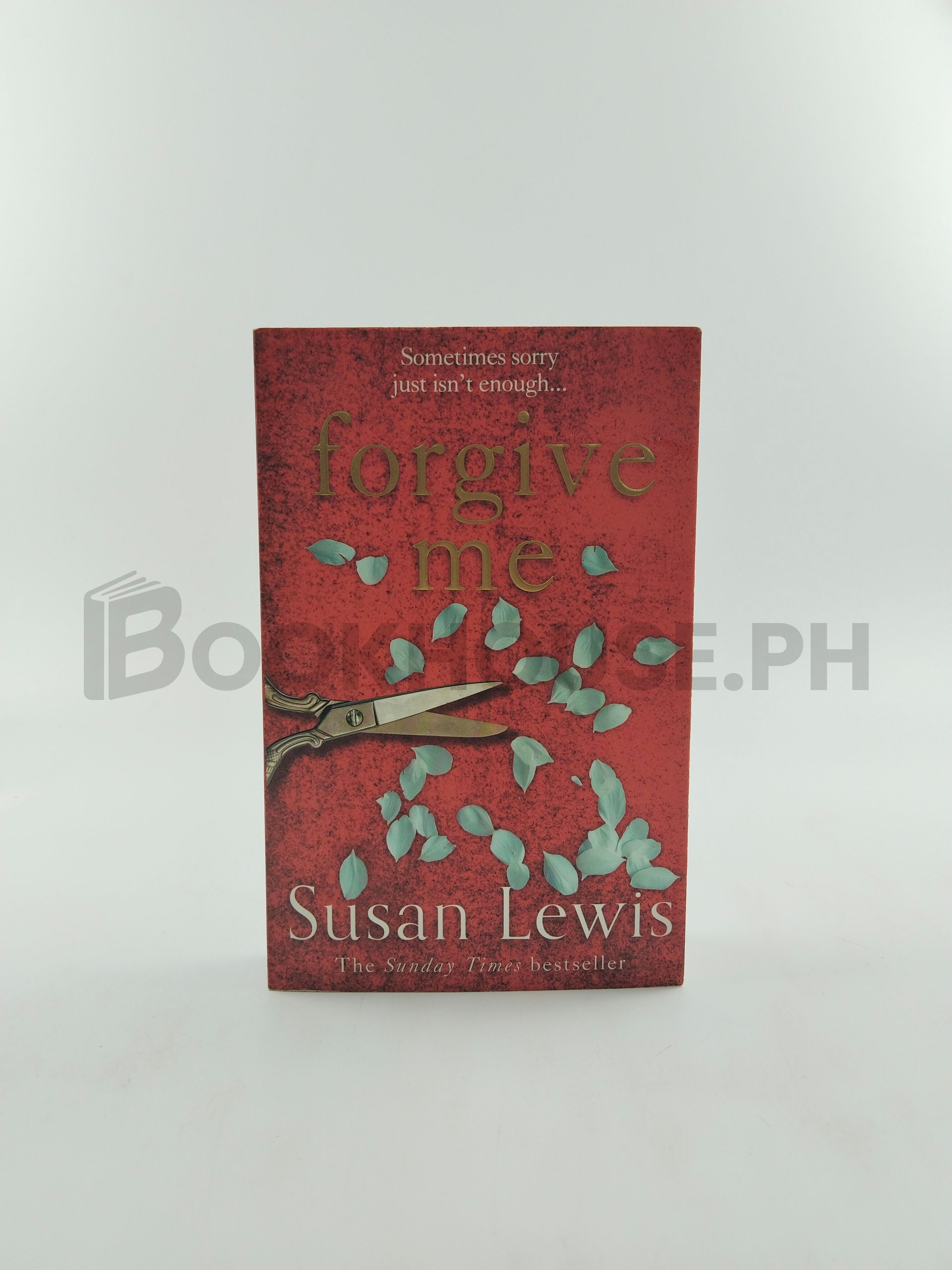 Forgive Me by Susan Lewis
