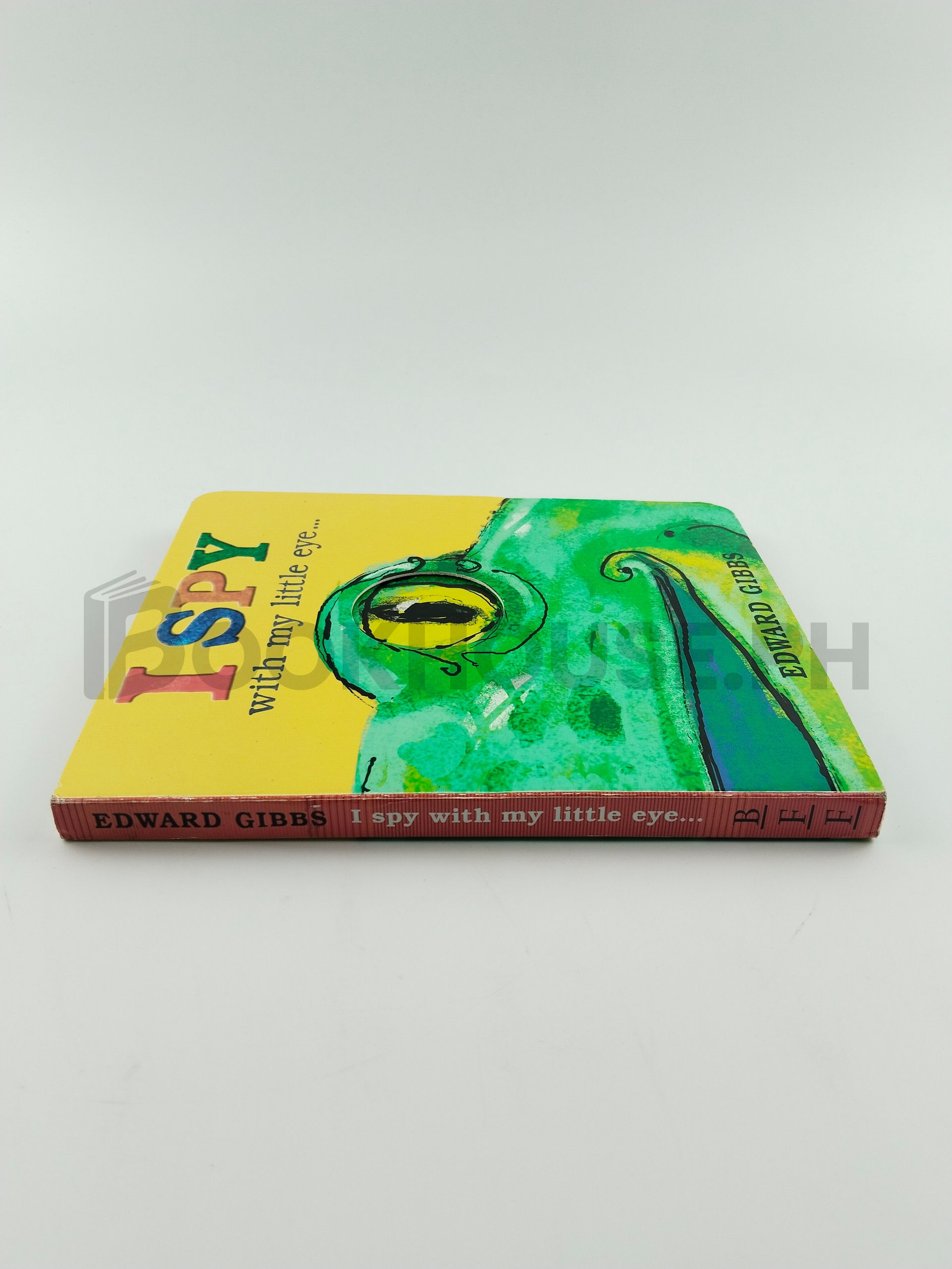 I Spy With My Little Eye by Edward Gibbs - Image 3