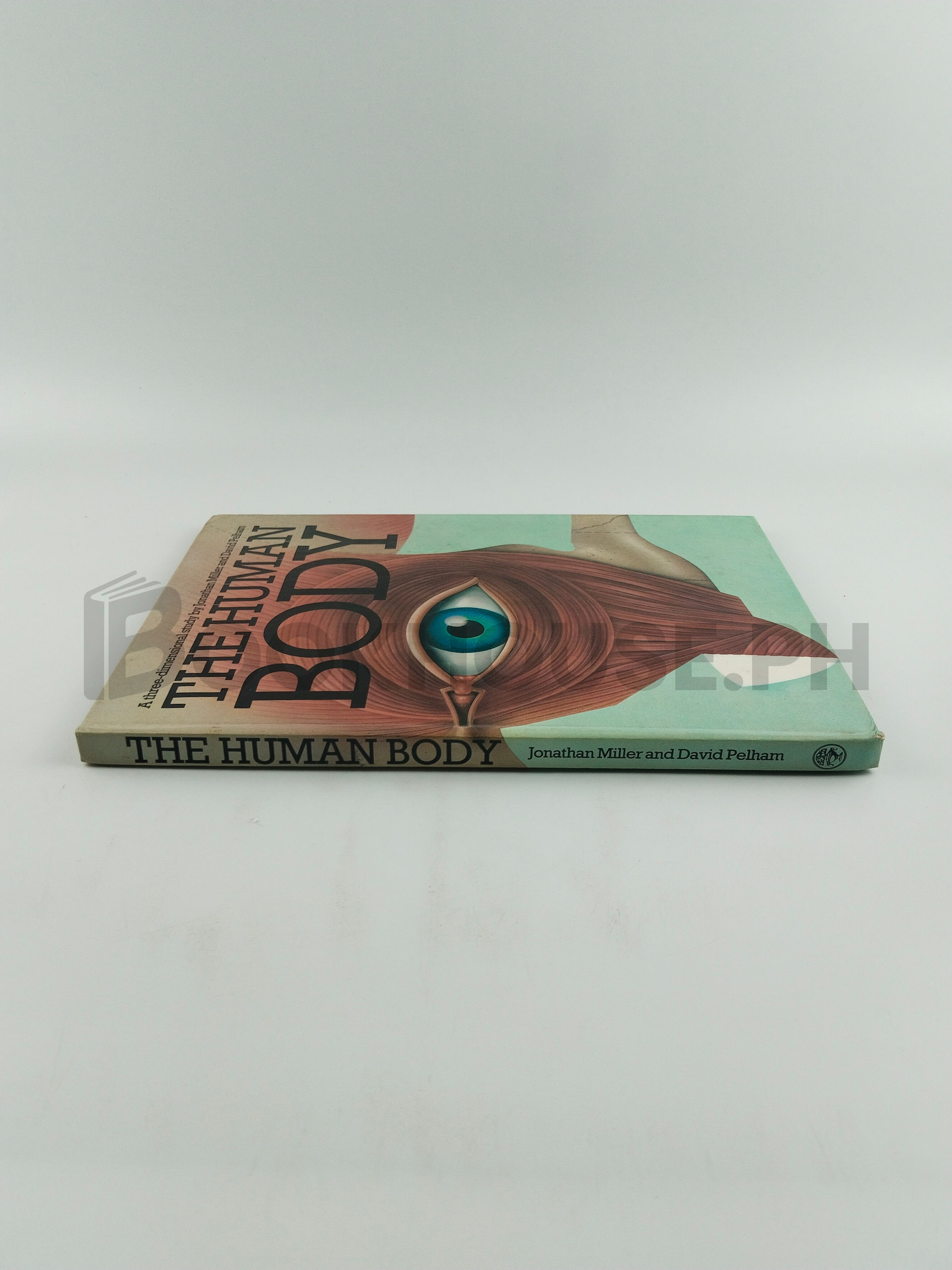 The Human Body by Jonathan Miller And David Pelham - Image 3