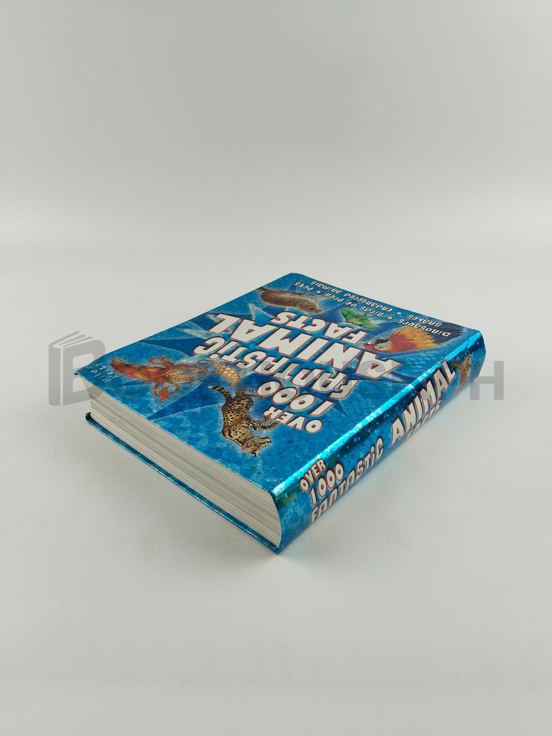 Over 1000 Fantastic Animal Facts by Belinda Gallagher - Image 2