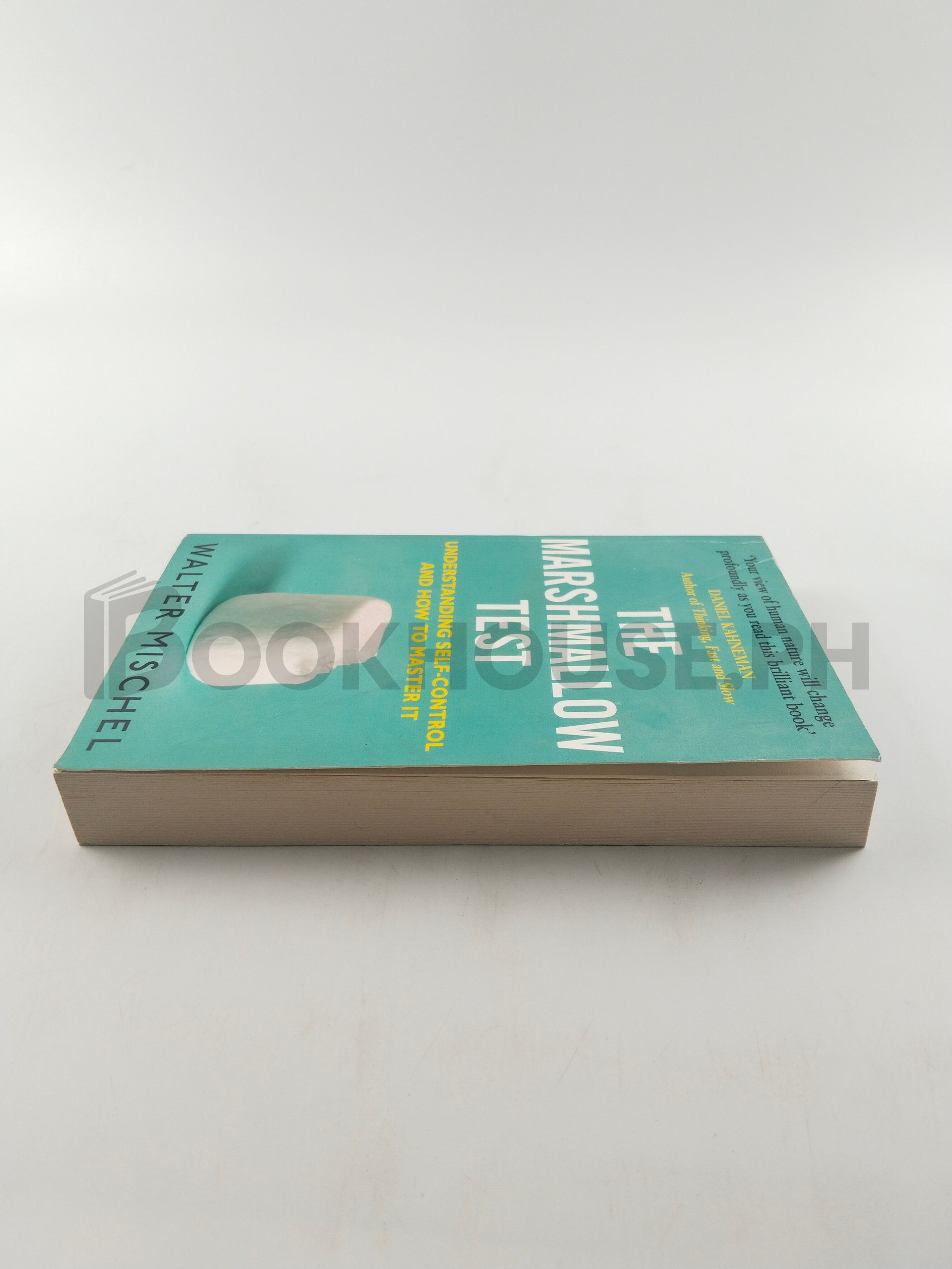 The Marshmallow Test by Walter Mischel - Image 4