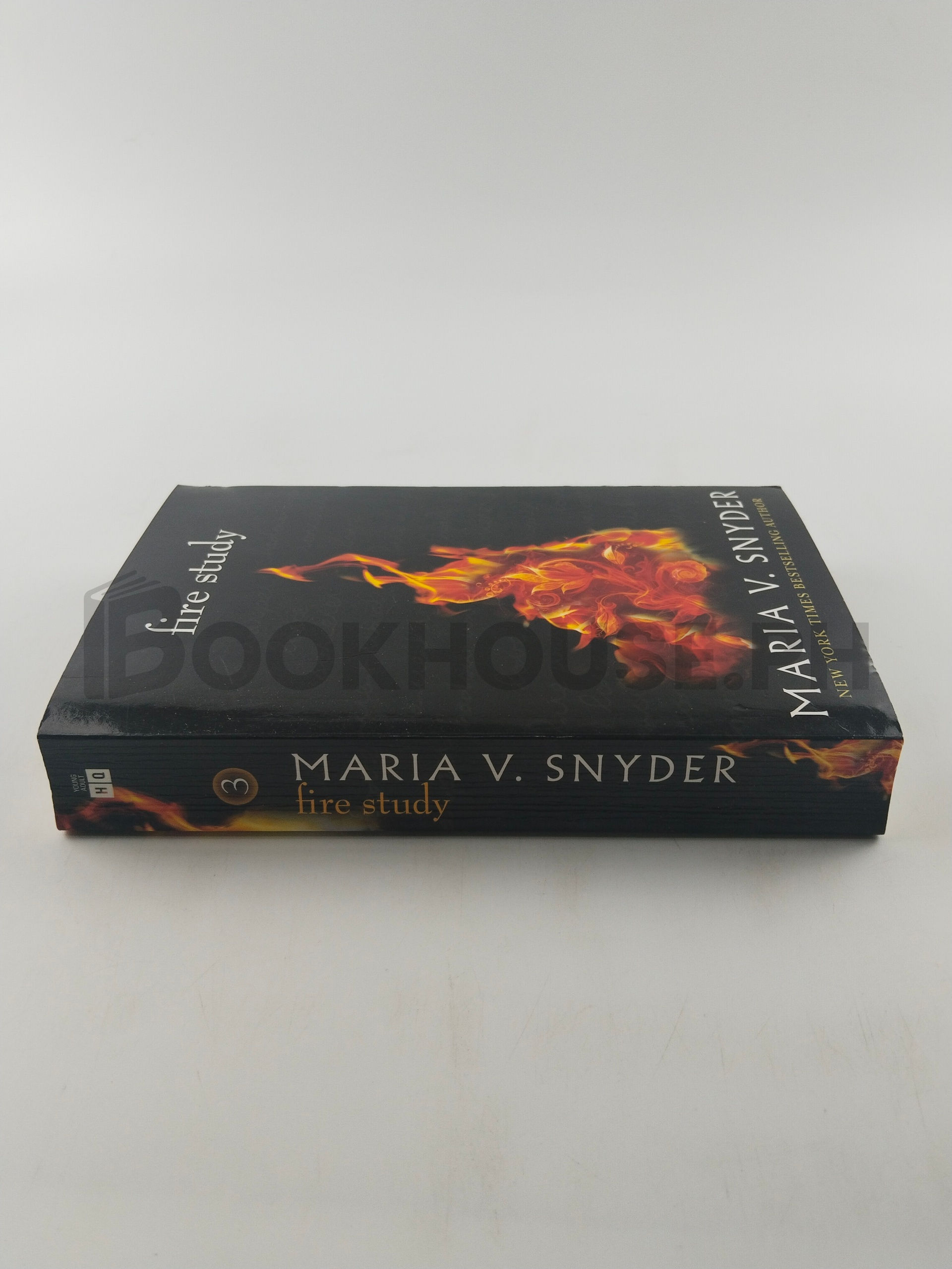 Fire Study by Maria V. Snyder - Image 3