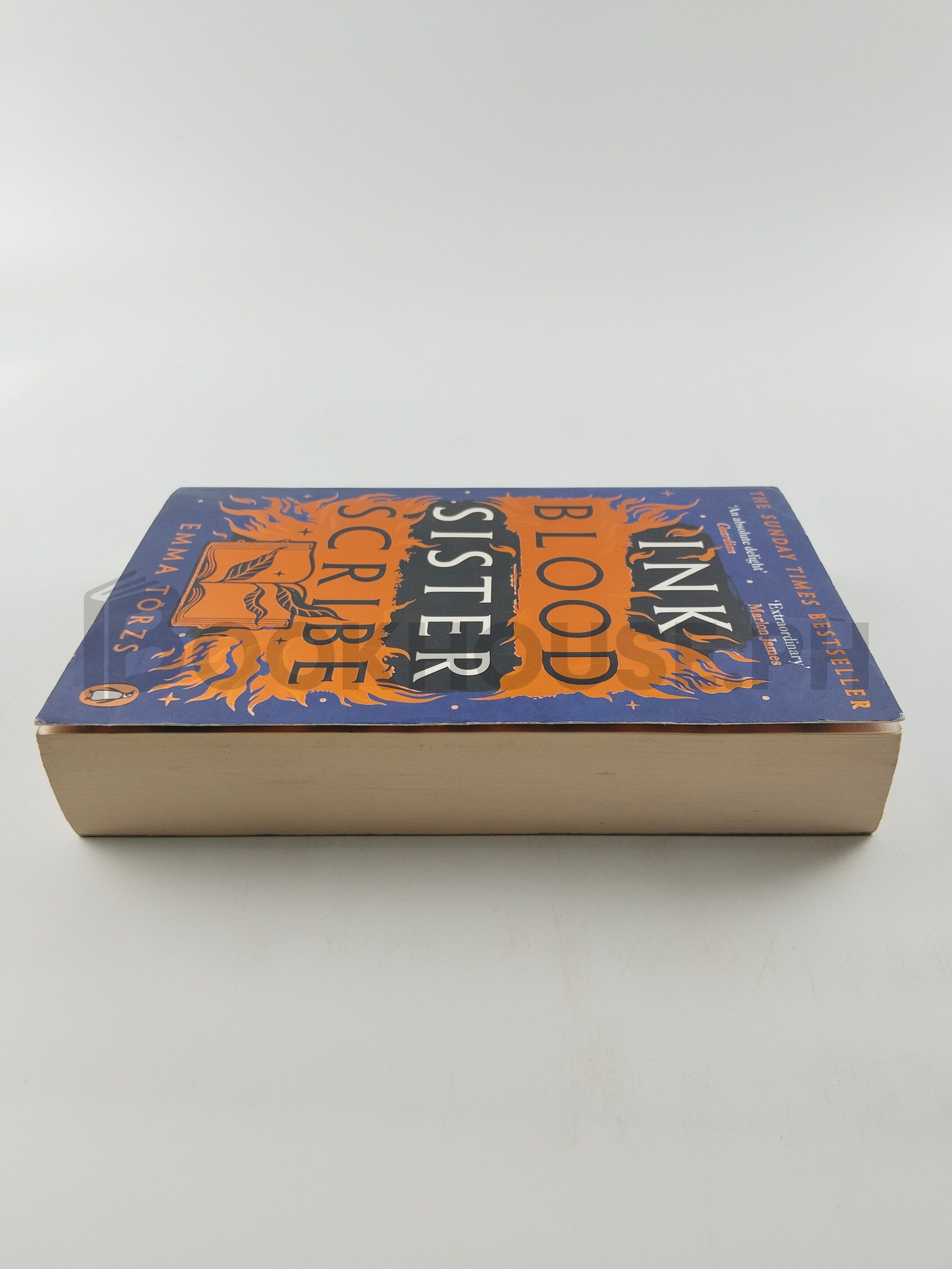 Ink Blood Sister Scribe by Emma Törzs - Image 4