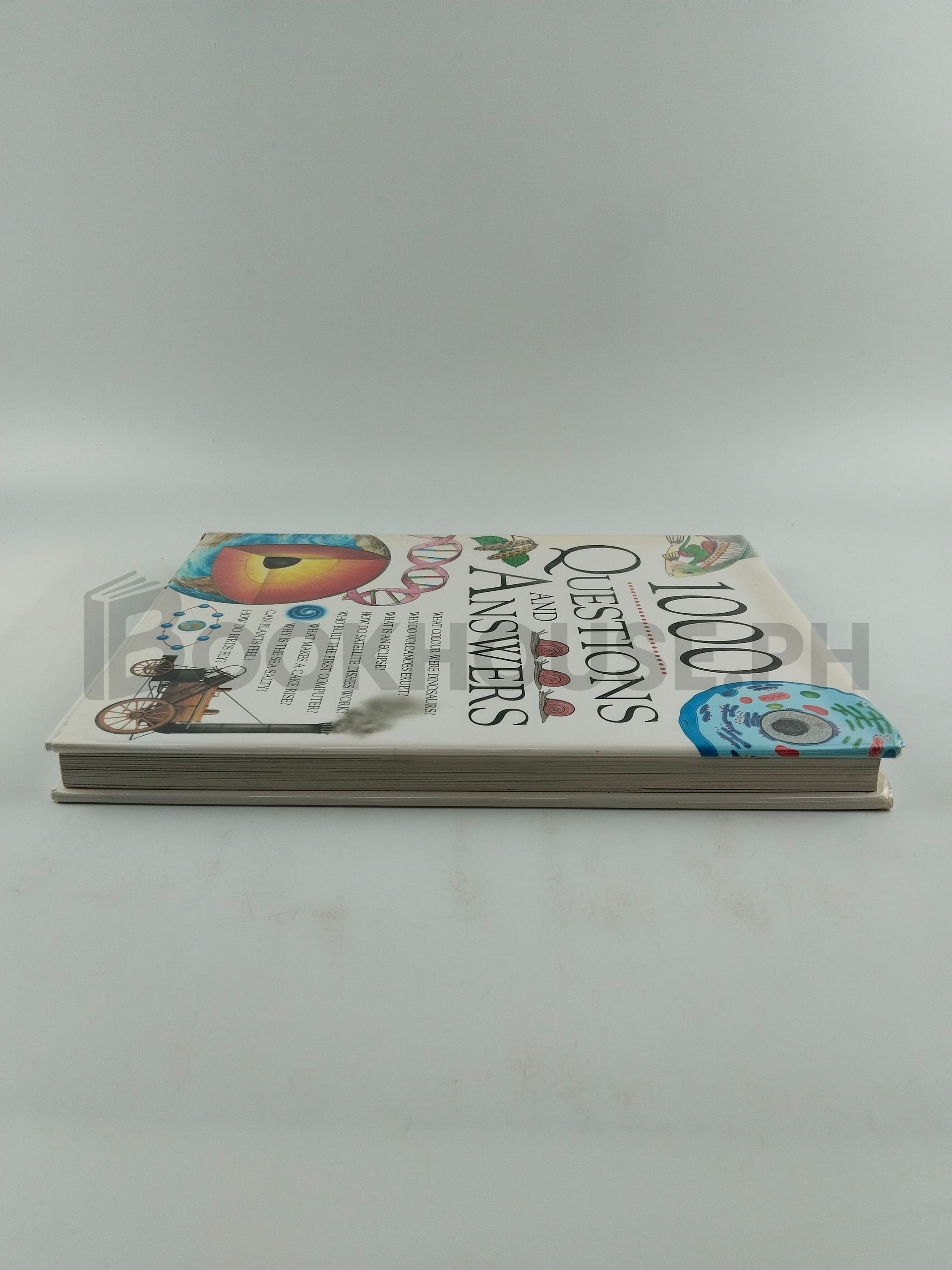 1000 Questions And Answers by Nicola Baxter - Image 4