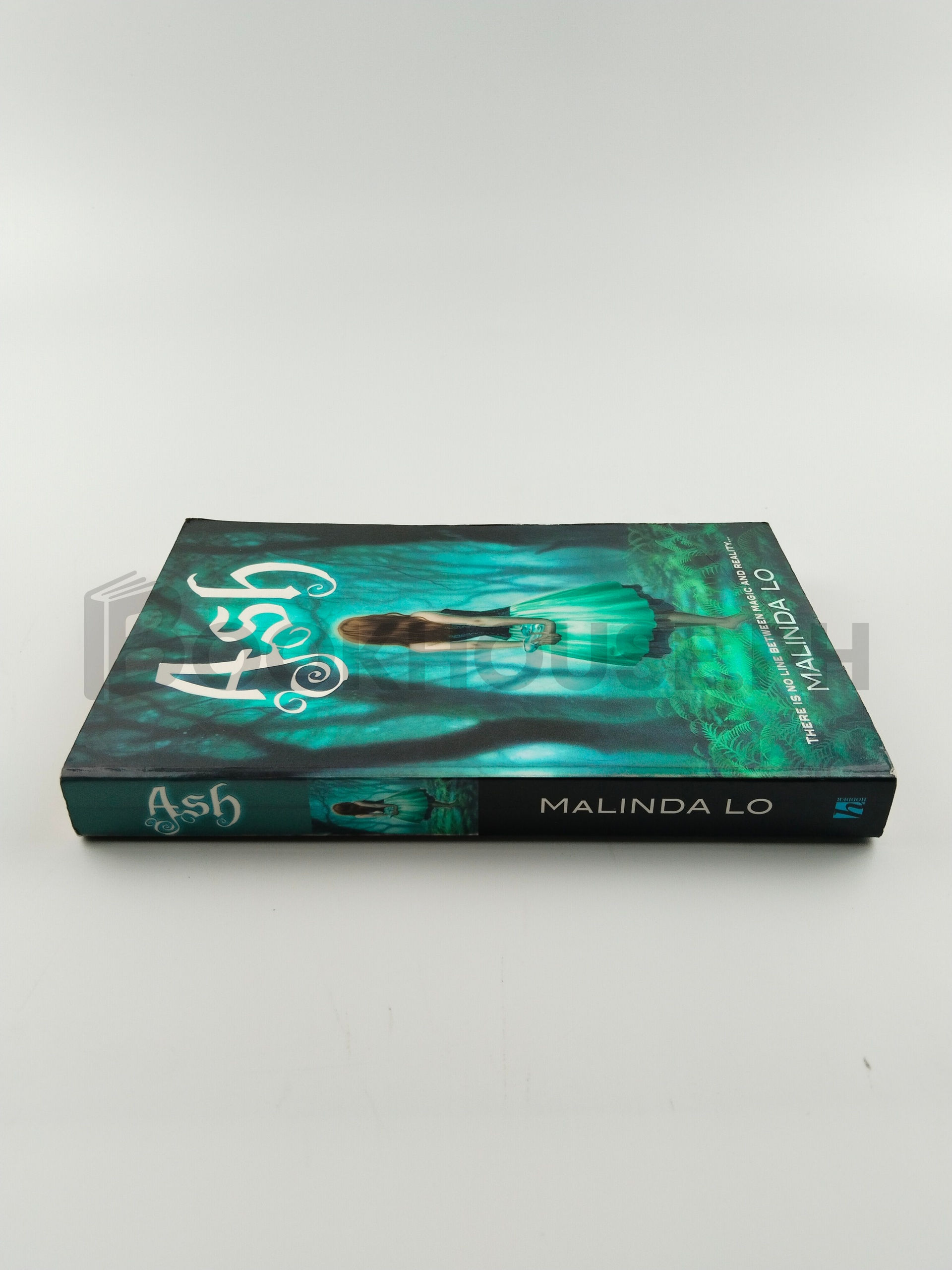 Ash by Malinda Lo - Image 3