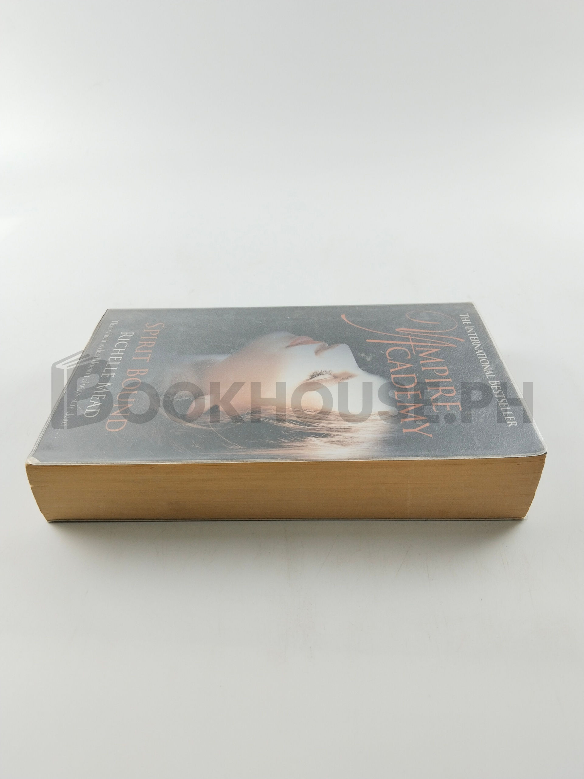 Vampire Academy by Richelle Mead - Image 4